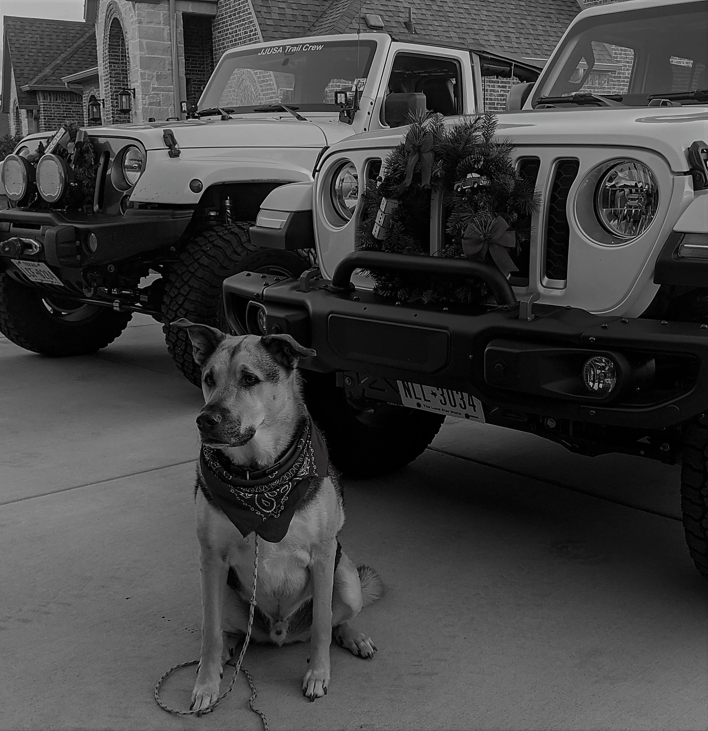 Jeep Gladiator Grill Wreaths 2022 MVIMG_20201121_171715