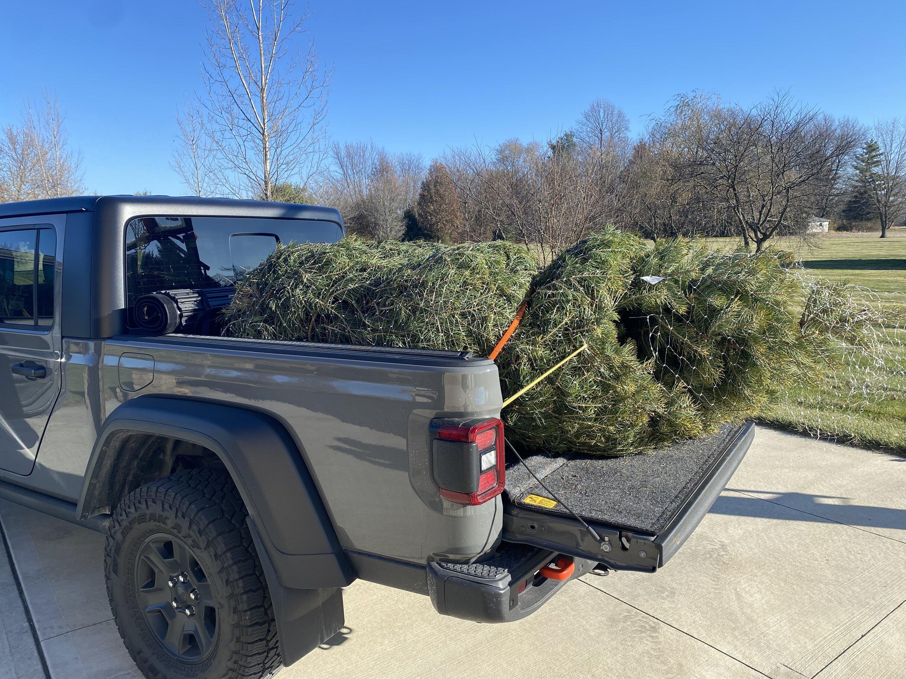 Jeep Gladiator Let’s see those Christmas trees! 9E432768-FEA9-46C4-8290-1DDA9902756D