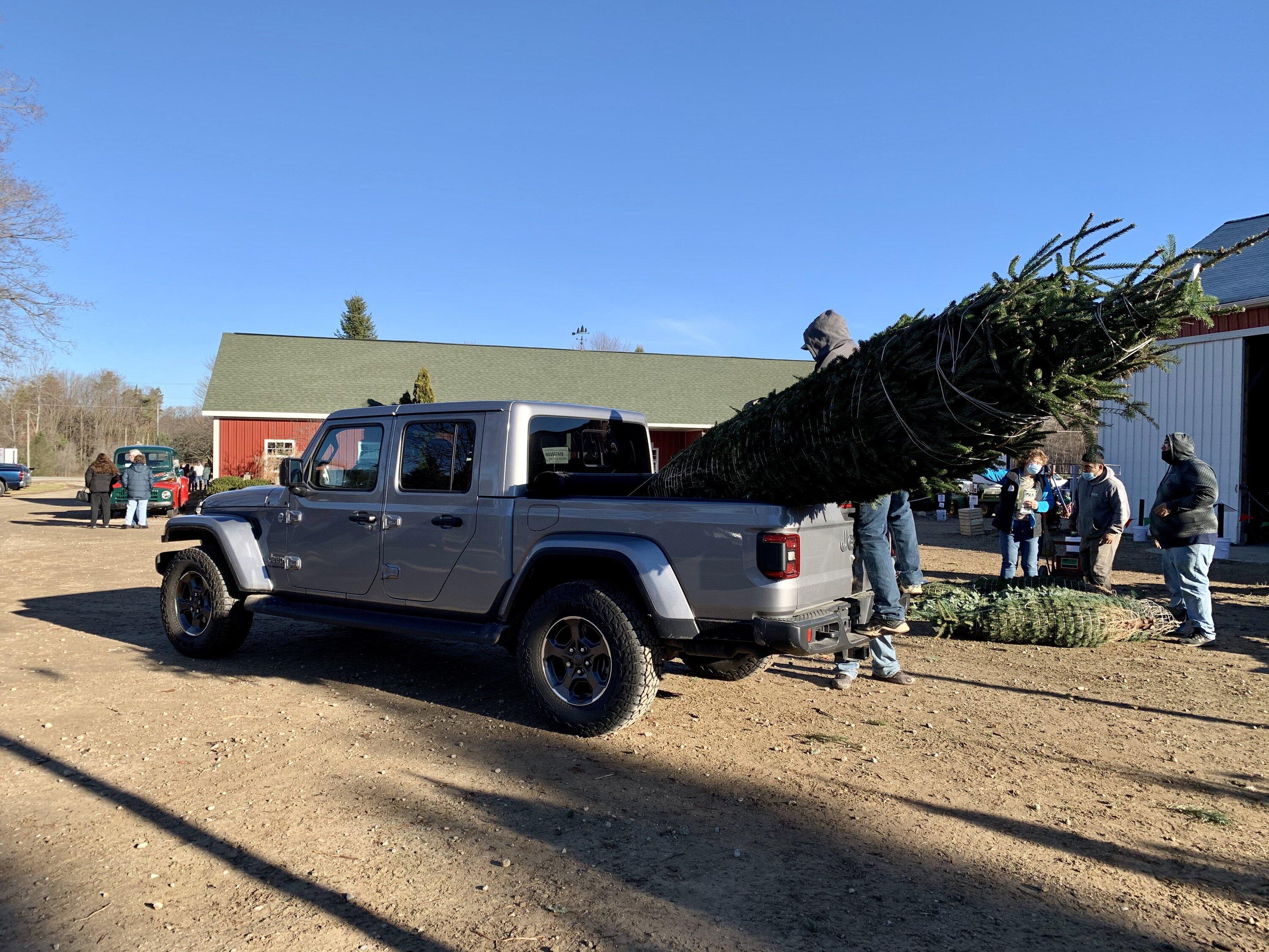Jeep Gladiator Let’s see those Christmas trees! IMG-0318