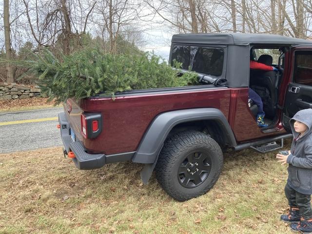 Jeep Gladiator What did you do WITH your Gladiator today? 2740D5BD-9BE8-4A9F-B21E-02BFE62E0C09