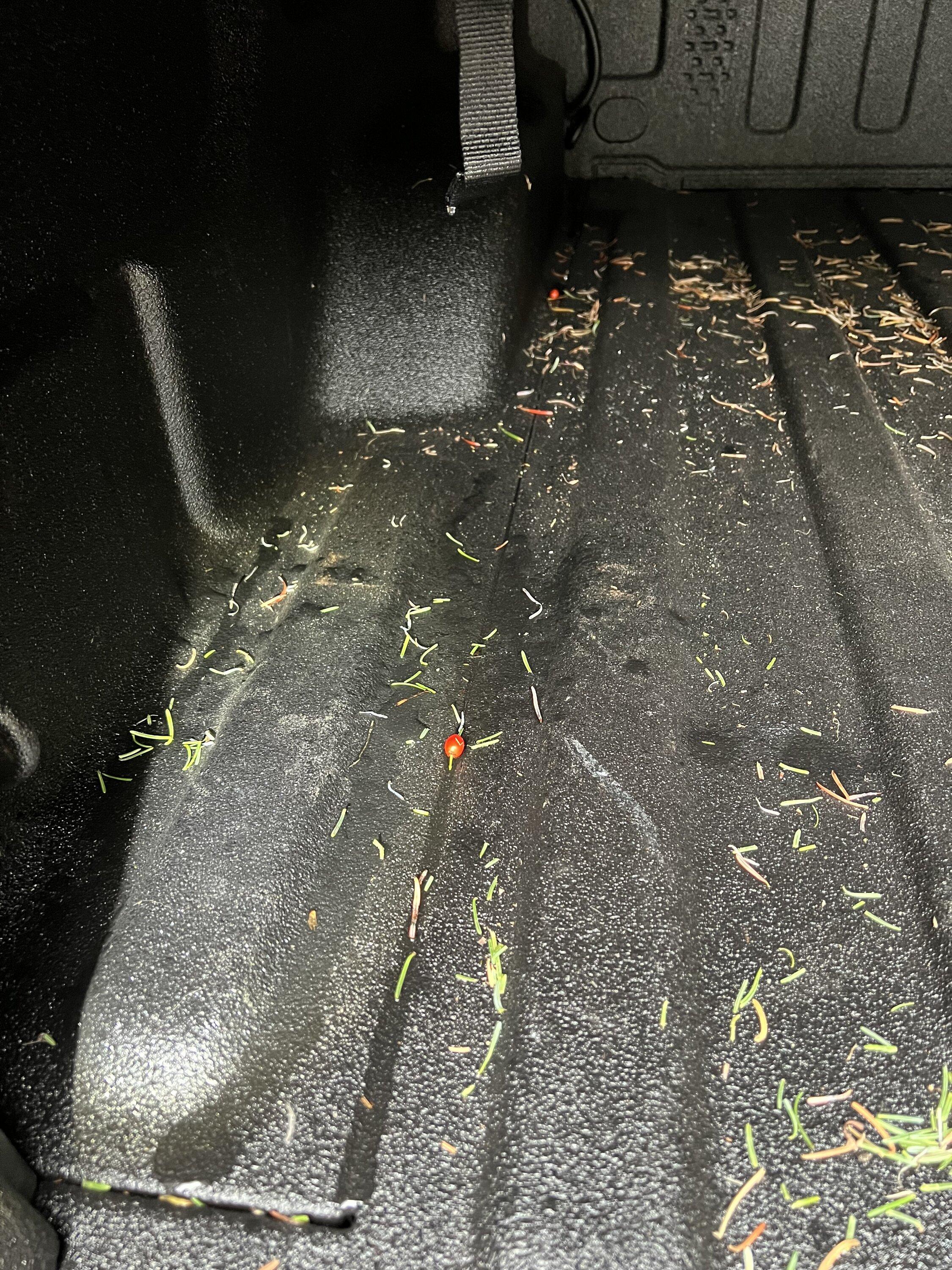 Jeep Gladiator Advice for leaky tonneau IMG-9042