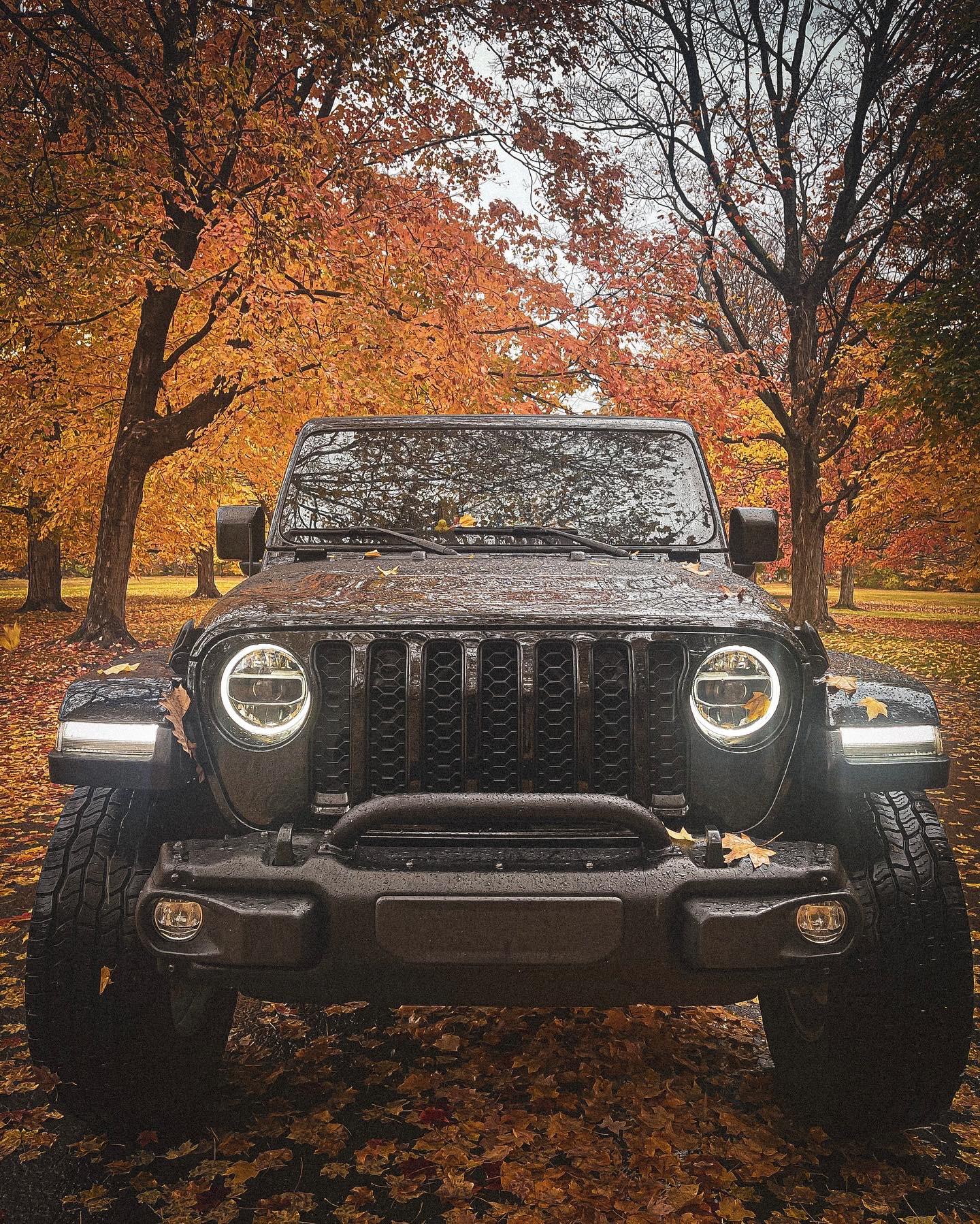 Jeep Gladiator Let's see those Fall Colors. AE0BCD3E-4FA0-4CFD-92E5-5940C89CA1F6