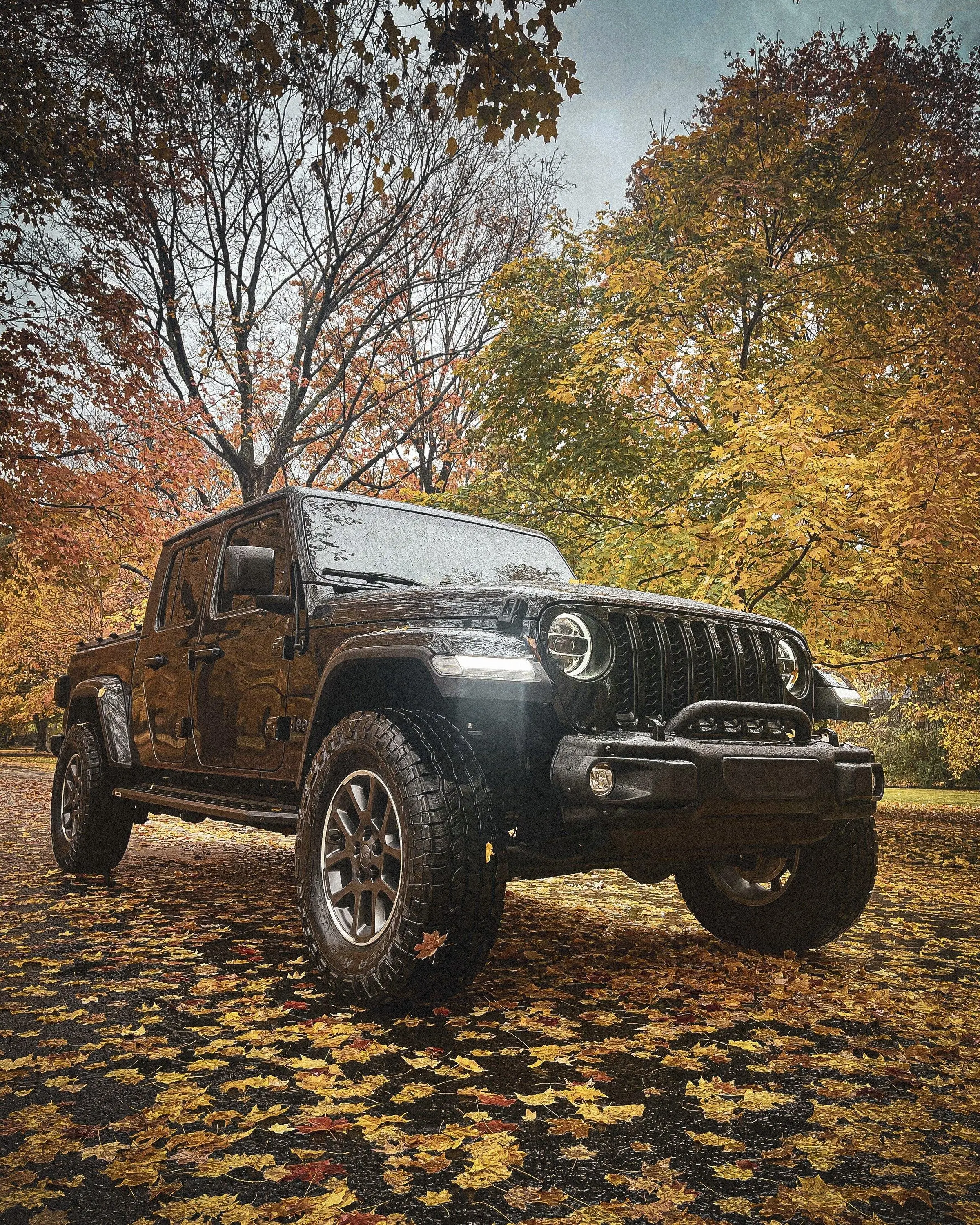 Jeep Gladiator Let's see those Fall Colors. 9BE61A46-3CE0-43A6-970C-25031B2ED879