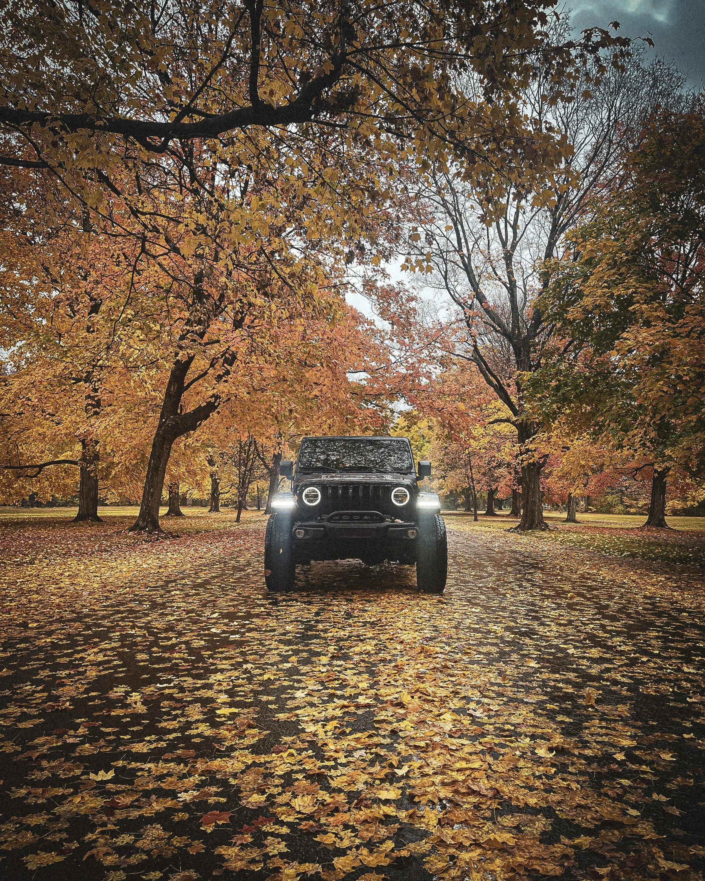 Jeep Gladiator Let's see those Fall Colors. A685921C-E788-4AAB-81B6-751F80F3313A