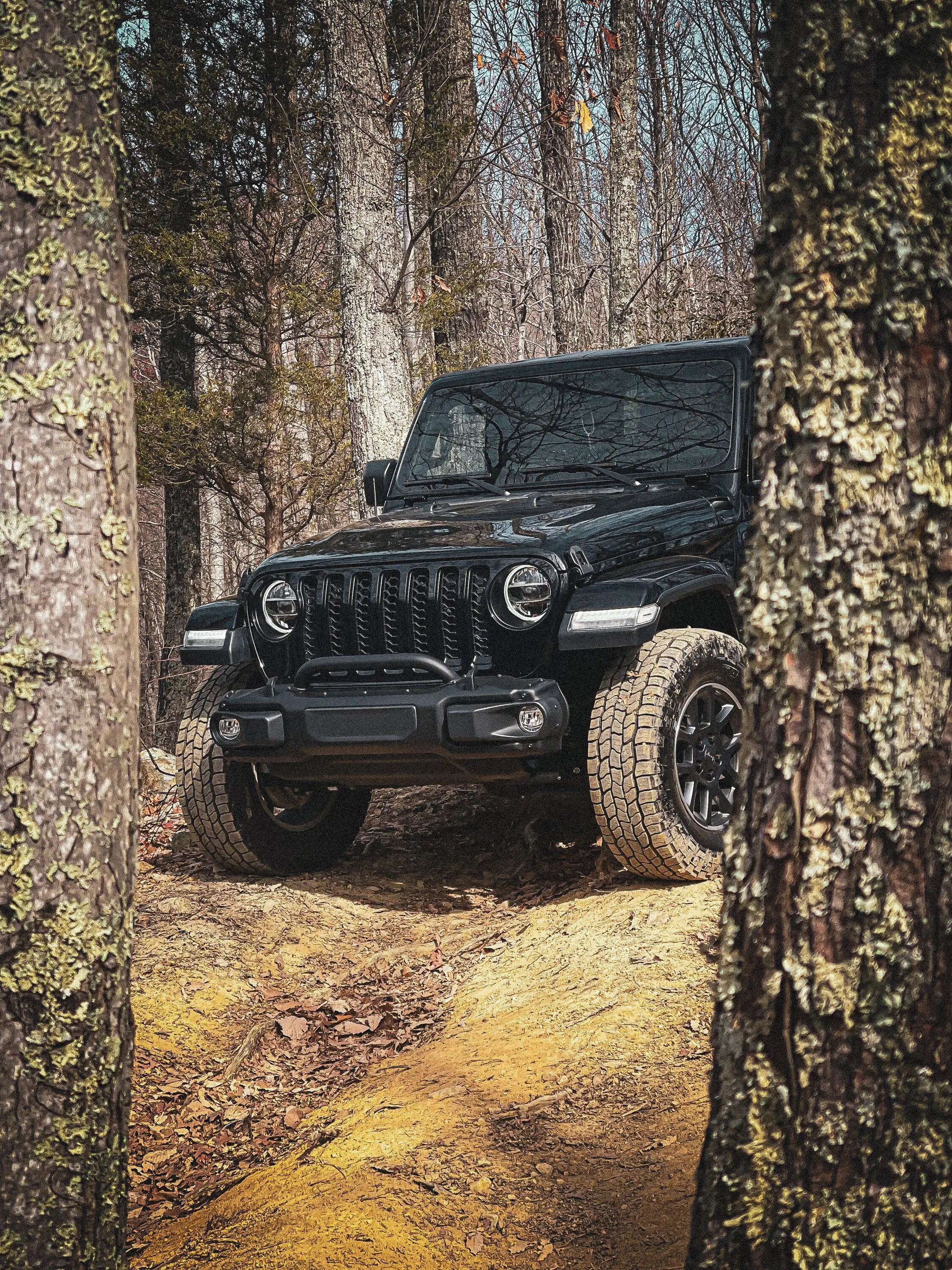 Jeep Gladiator Gladiator Glamour Shots 82AE5299-846F-43FD-9C6E-C5301E0F777E
