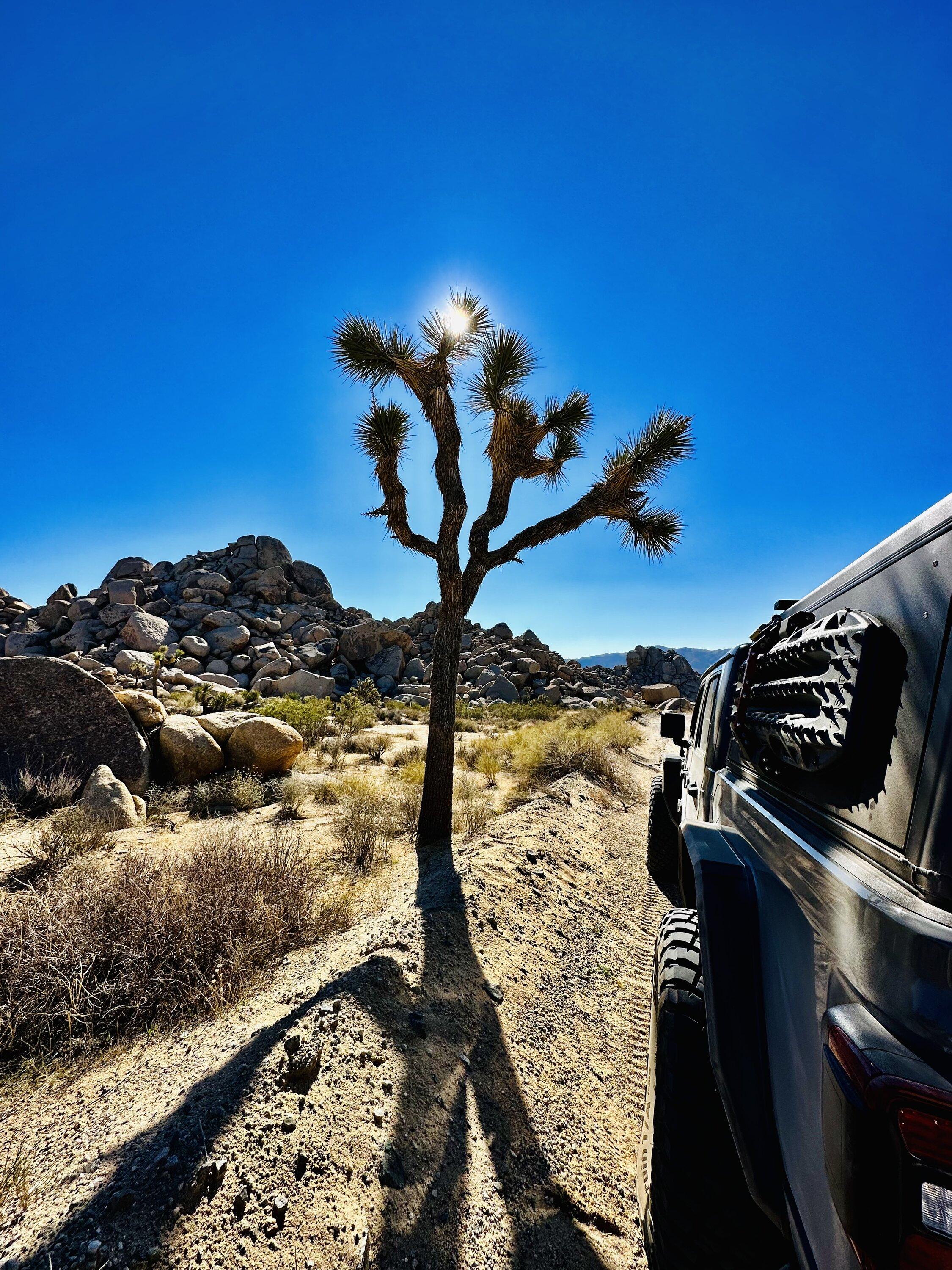 Jeep Gladiator 8500mi Winter Big Circle 2022 Survived in Gladiator 5D22F9E7-EE46-4CC4-A6B6-0D14B50ECE64