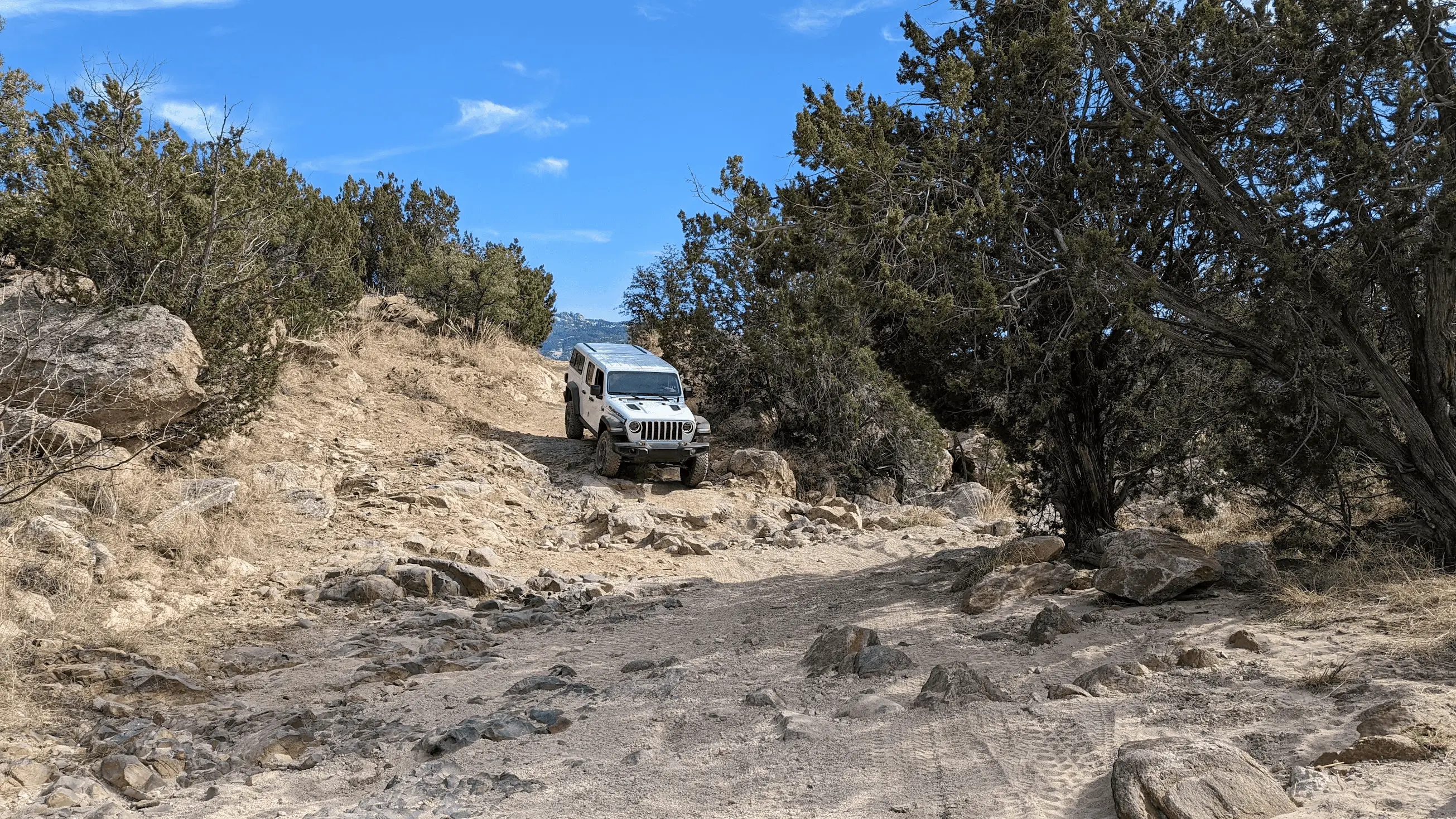 Jeep Gladiator Diesel shocks ?? 1670185223829