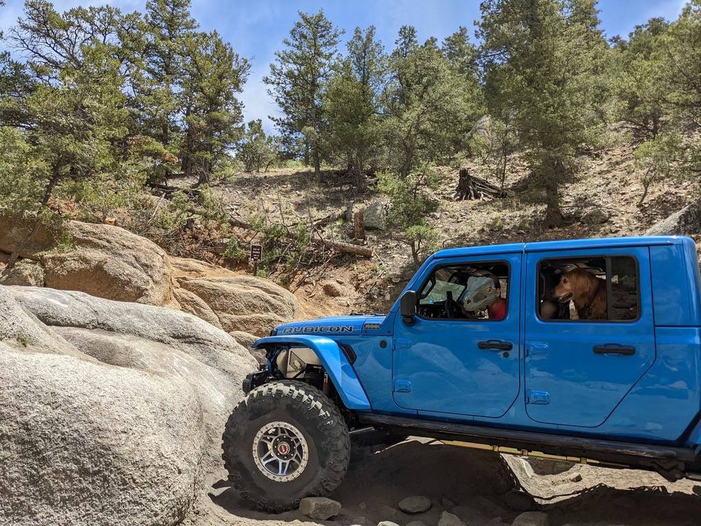 Jeep Gladiator SHOW ME YOUR WHEELS! 232D3872-E9E5-4374-9B48-61B61A54B5CB_1_105_c