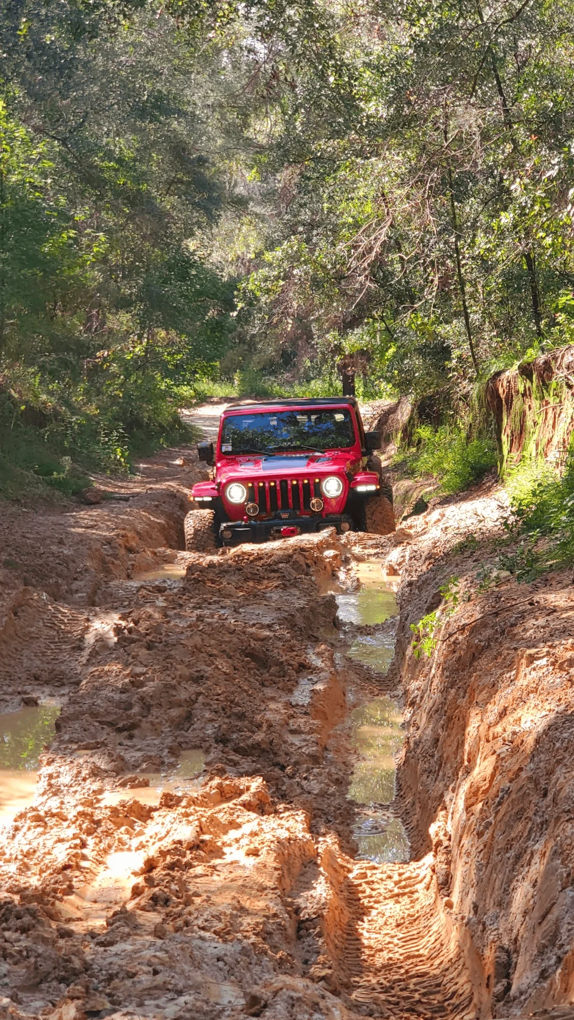 Jeep Gladiator Post Your Jeep and We'll Rate It 1670640342948