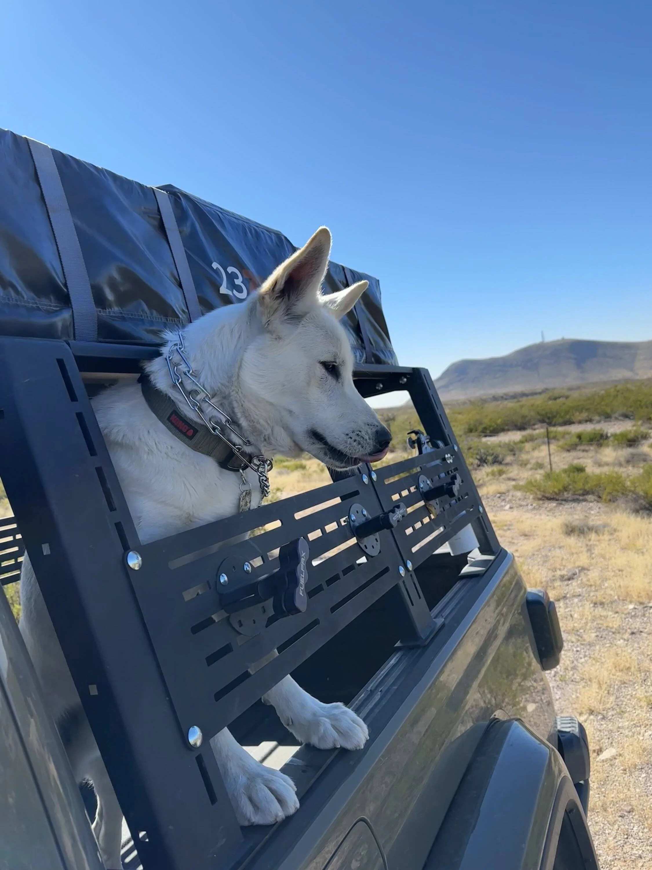 Jeep Gladiator Rebel Off Road XPLOR Rack Install + Dog Box Project 7CCED62D-94B8-40A3-A5EA-2A693C575C9A