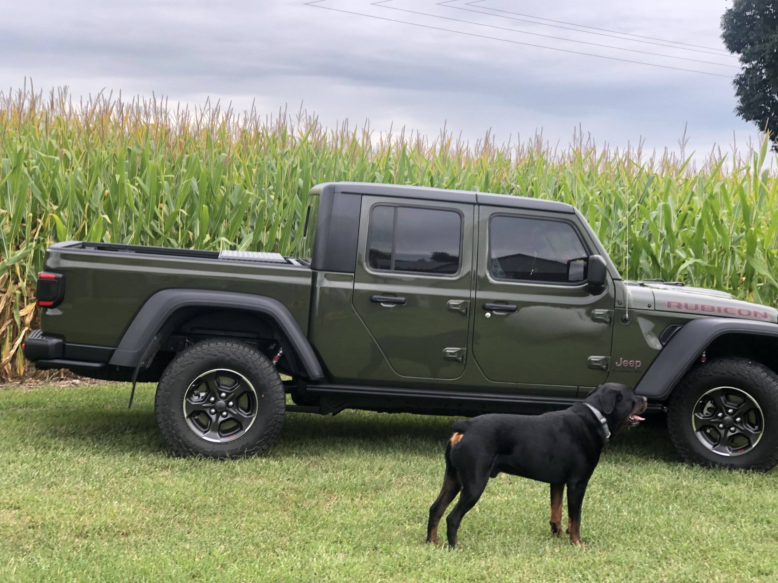 Jeep Gladiator Let’s see your pets cause they are the best companion you can have!!!!! 75A51CD1-FDCB-4740-8B2C-2962D2C65BE4