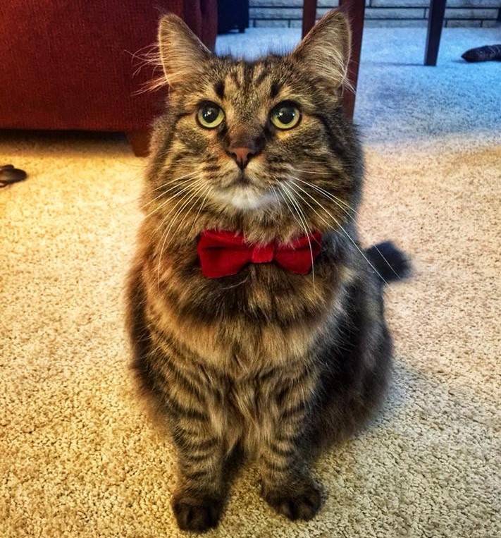 samson.JPG