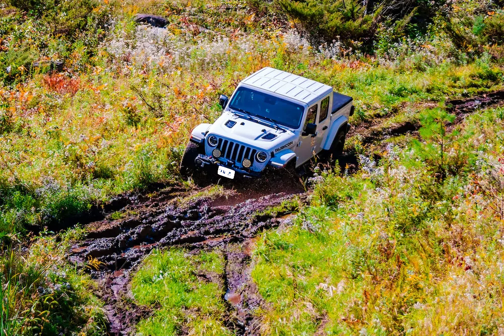 Jeep Gladiator Post Your Jeep and We'll Rate It 4E6F8BD8-B566-4F89-82DD-837C867B68F5_1_105_c