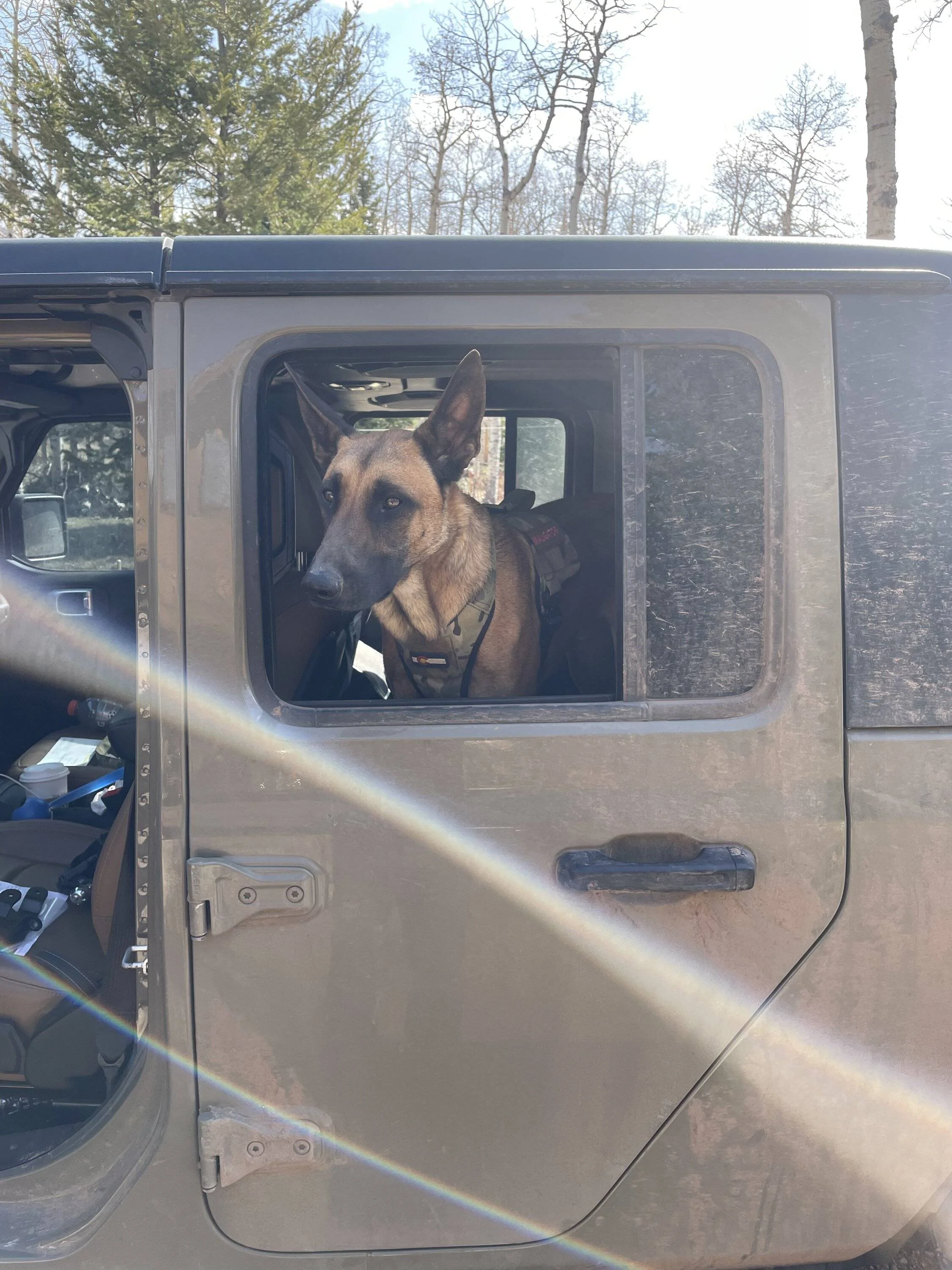 Jeep Gladiator Rear Seat Dog bed? EC56A2C2-9147-4365-A90C-DAEDBB2FCE46
