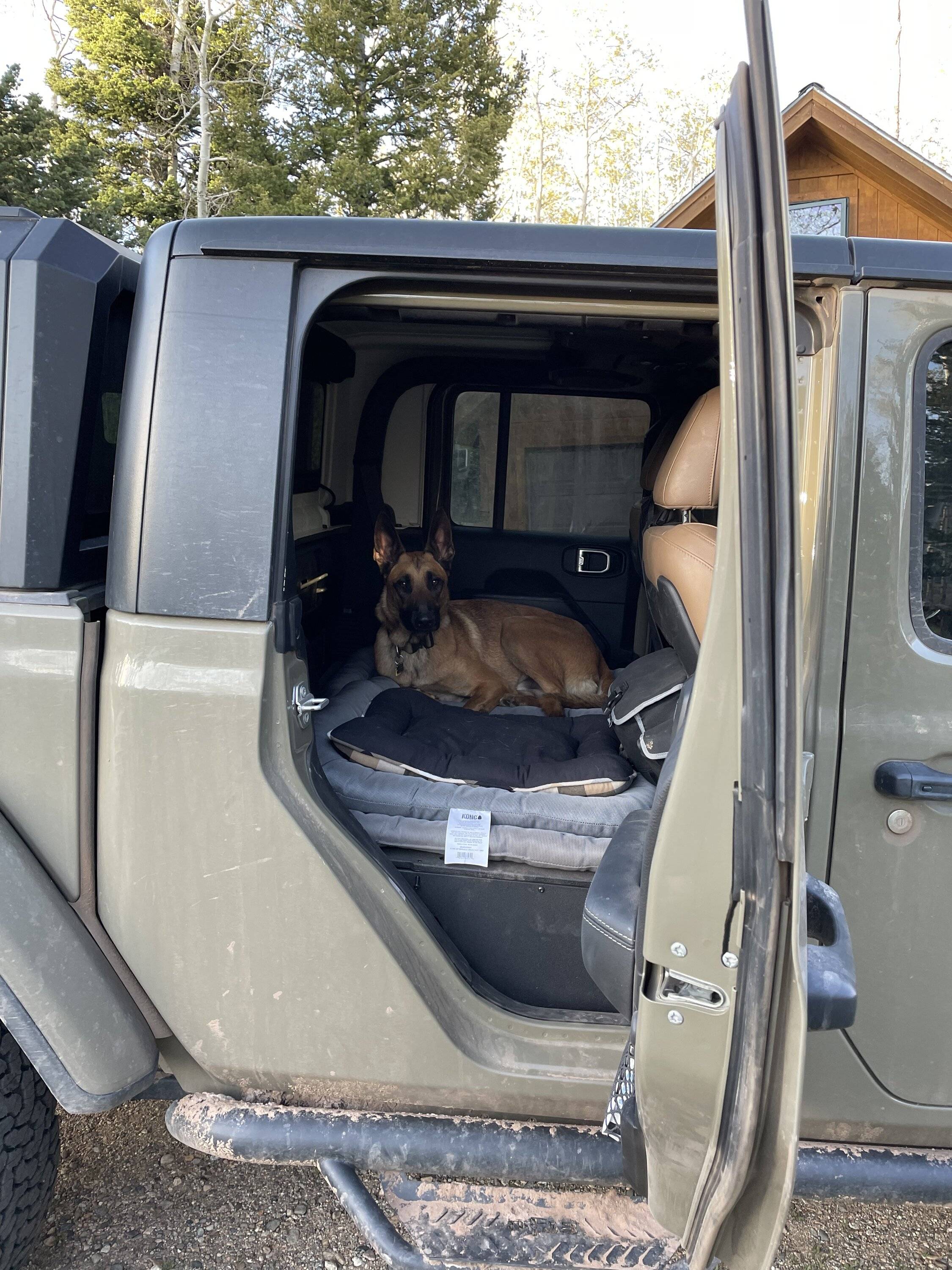 Jeep Gladiator Rear Seat Dog bed? BEC464FD-E744-4601-8091-AF6561D9AC32