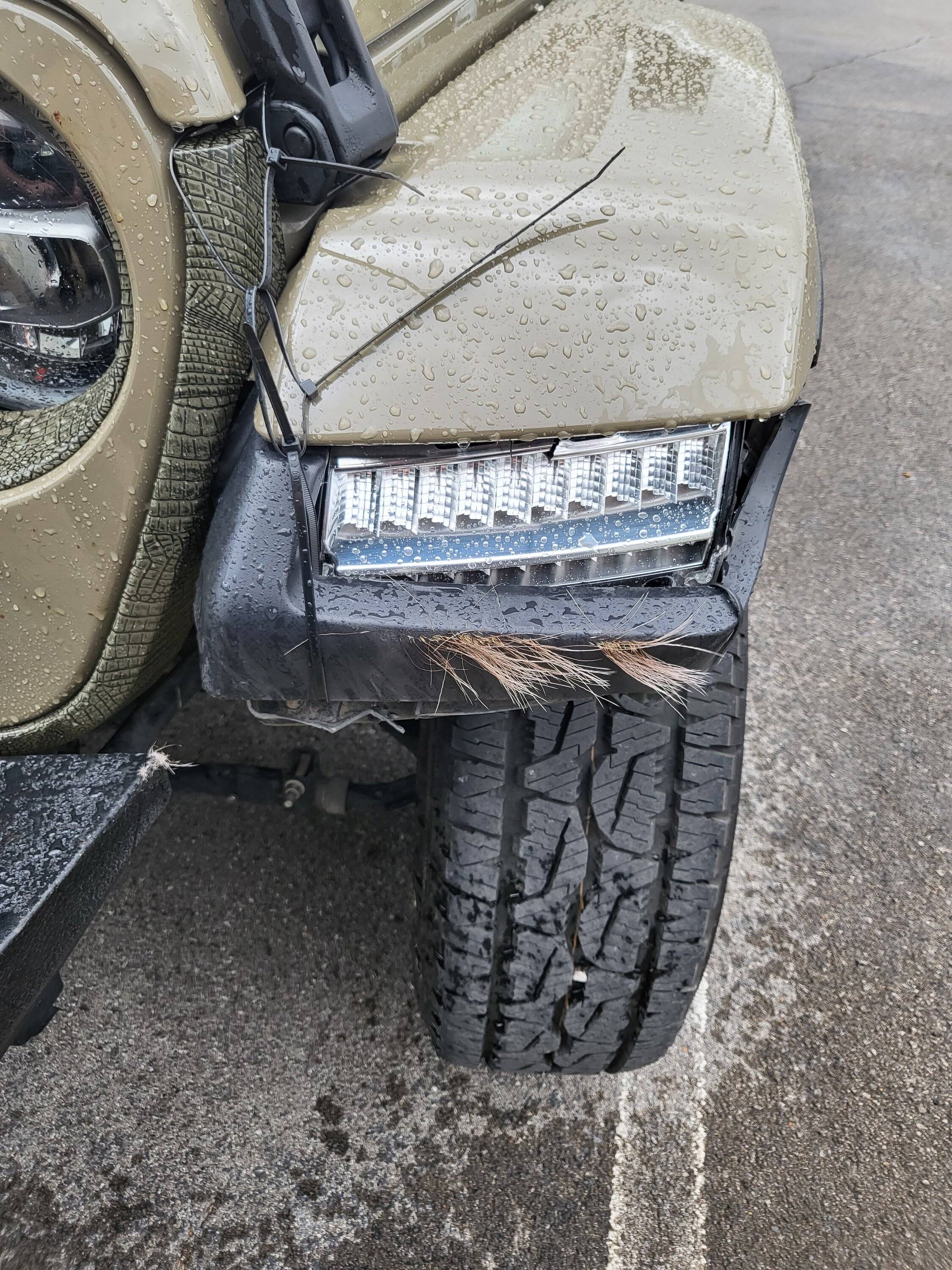 Jeep Gladiator Deer strike, need to replace a few parts 20220322_164613