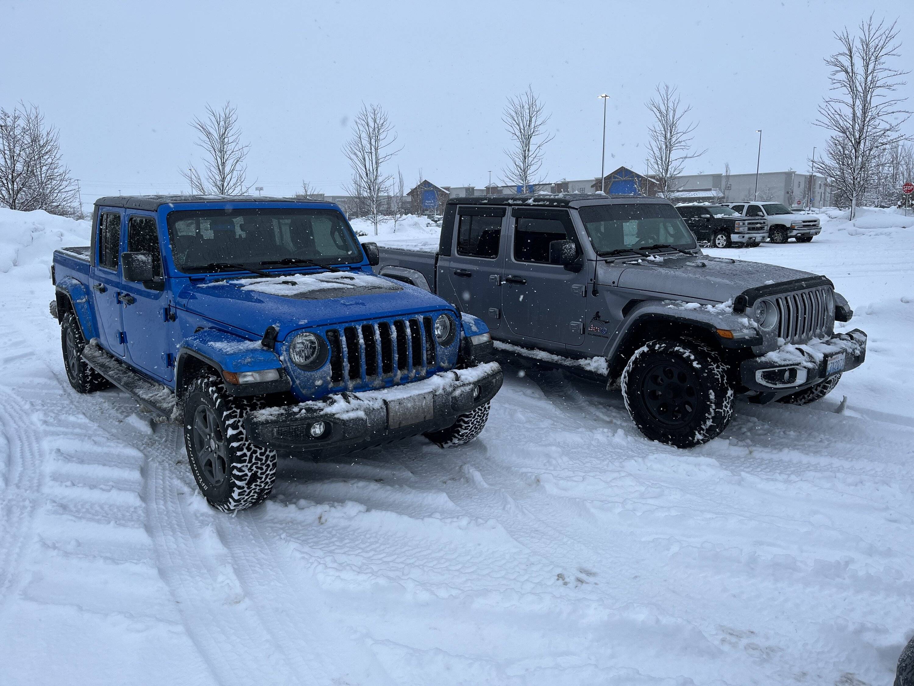 Jeep Gladiator Jeeps Parking Next To Jeeps 6922B7E6-43B1-4E46-8486-2F3B1137BB96