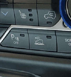 duck-2.webp