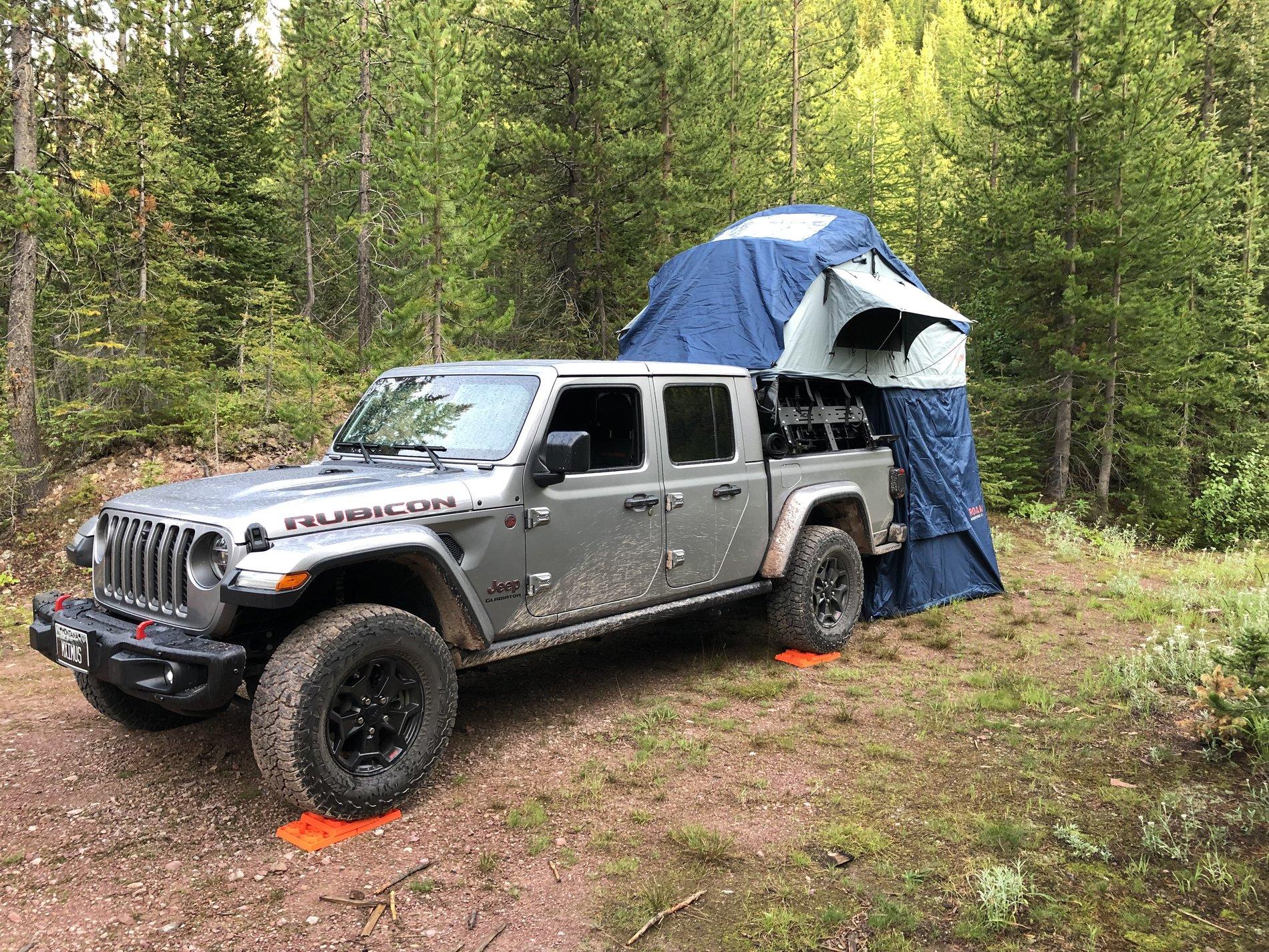 Jeep Gladiator That my friends is a gnat's ass... IMG_0845.JPG
