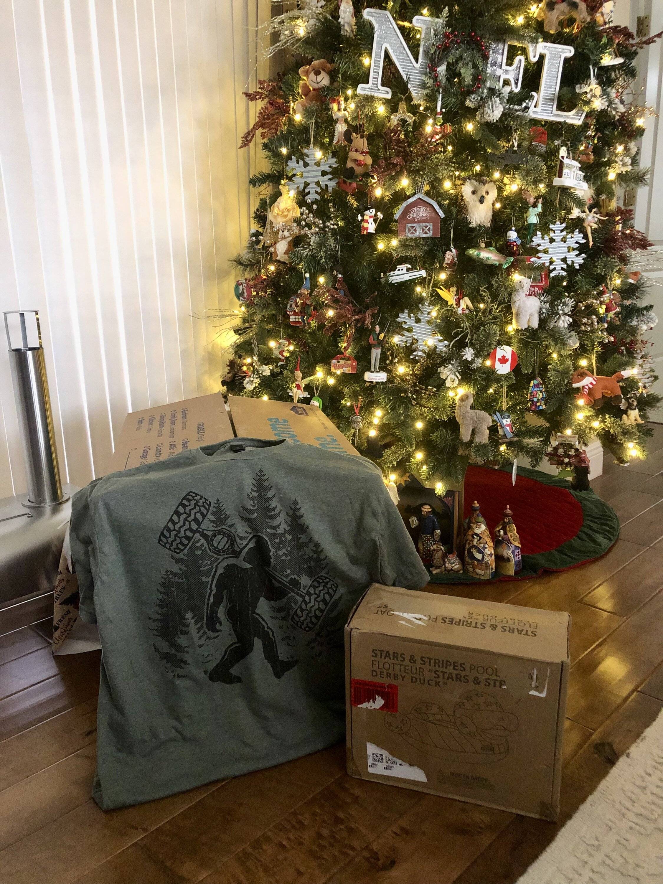 Jeep Gladiator Did your "Glady" get what it wanted for Christmas 2022 ??? Show and Tell 7FB39477-CDF0-4FD6-8F0C-60A48A05AB5C