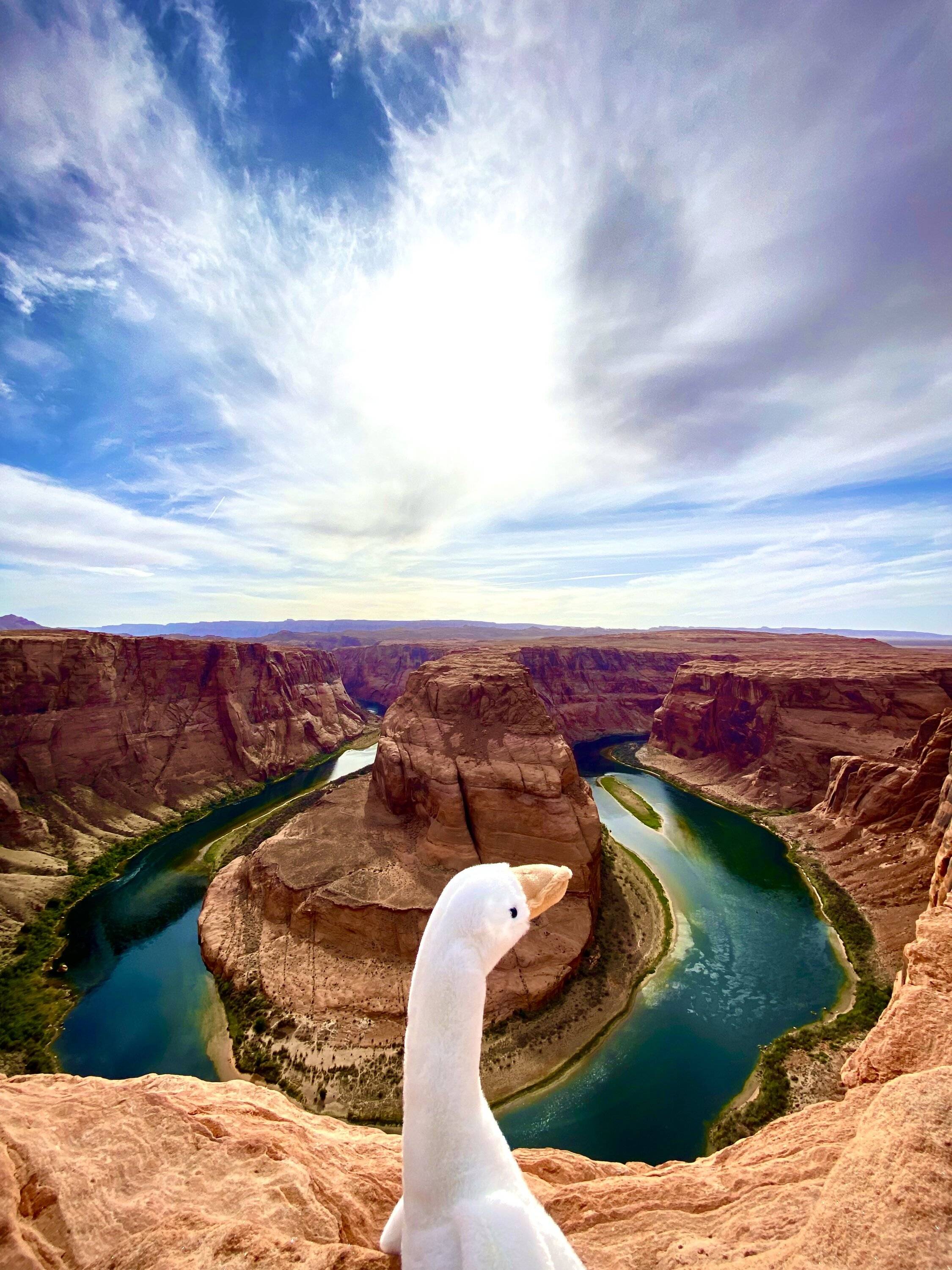 Jeep Gladiator Show me your DUCKS ! 592360B7-2FF8-4F94-9B10-8650CF9EBA4B