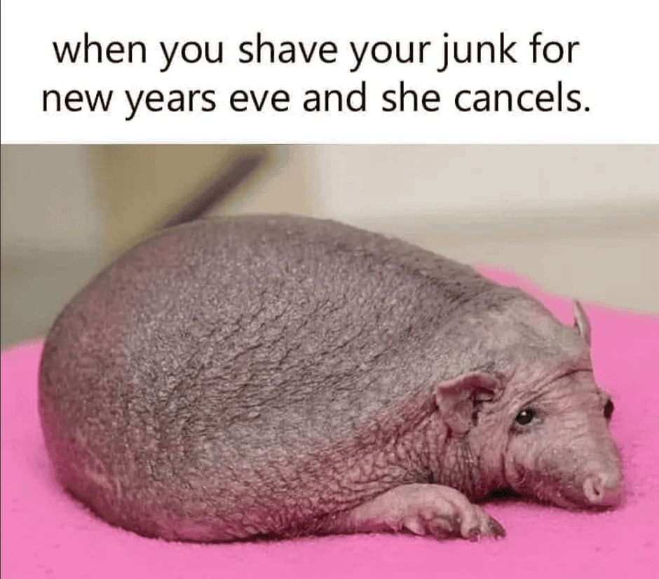 1672530824018.png