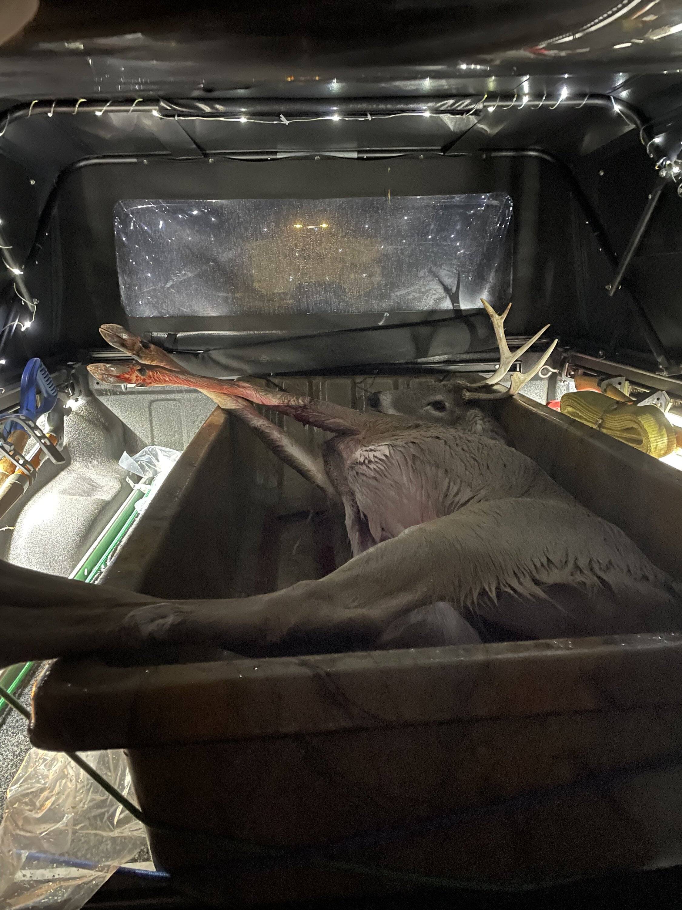 Jeep Gladiator What did you HAUL in your JT today? 39011794-EEDB-4BCB-9A6B-55FB30BC0668