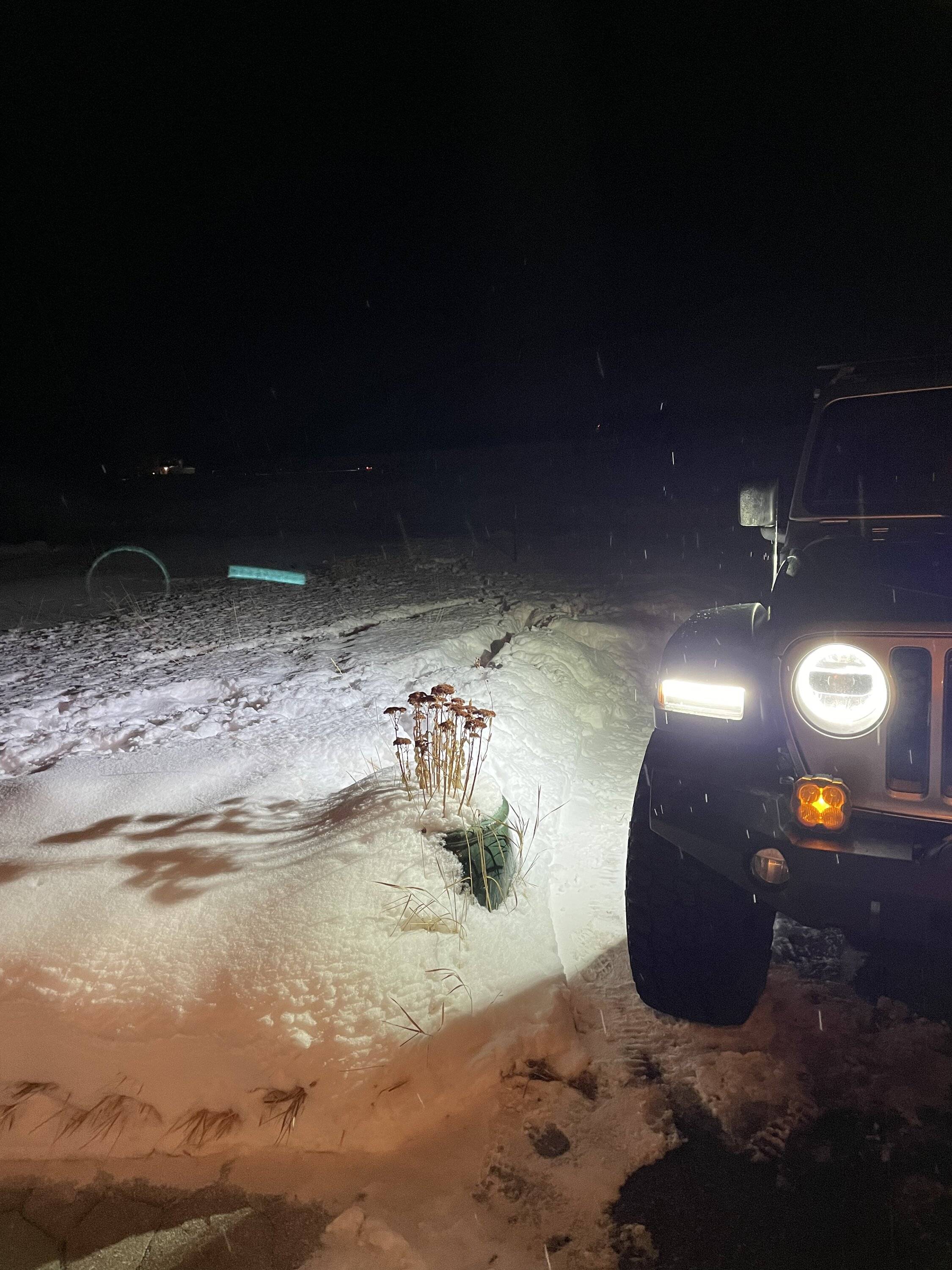 Jeep Gladiator What did you do TO your Gladiator today? [ADMIN WARNING: NO POLITICS, NO GUN TALK] B7466C33-622E-4AC6-BF7A-04DBE9E646FD