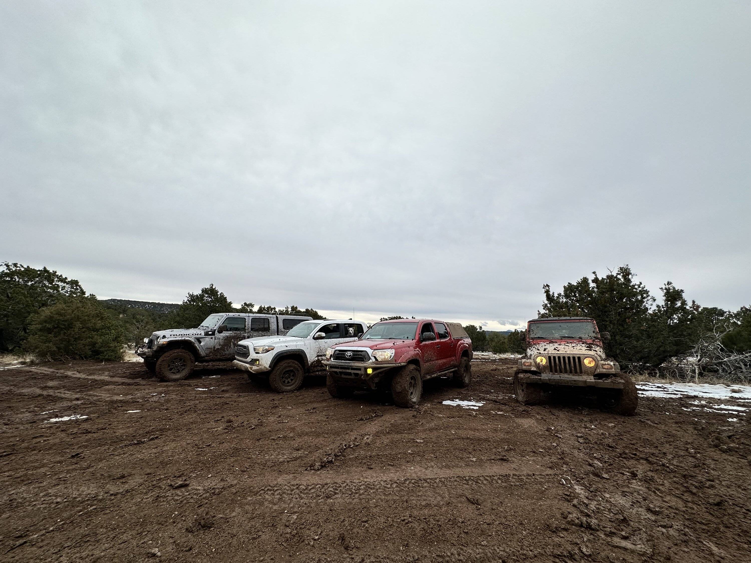 Jeep Gladiator What did you do TO your Gladiator today? [ADMIN WARNING: NO POLITICS, NO GUN TALK] 7936572E-545A-42D7-A077-9EF2A643A93D
