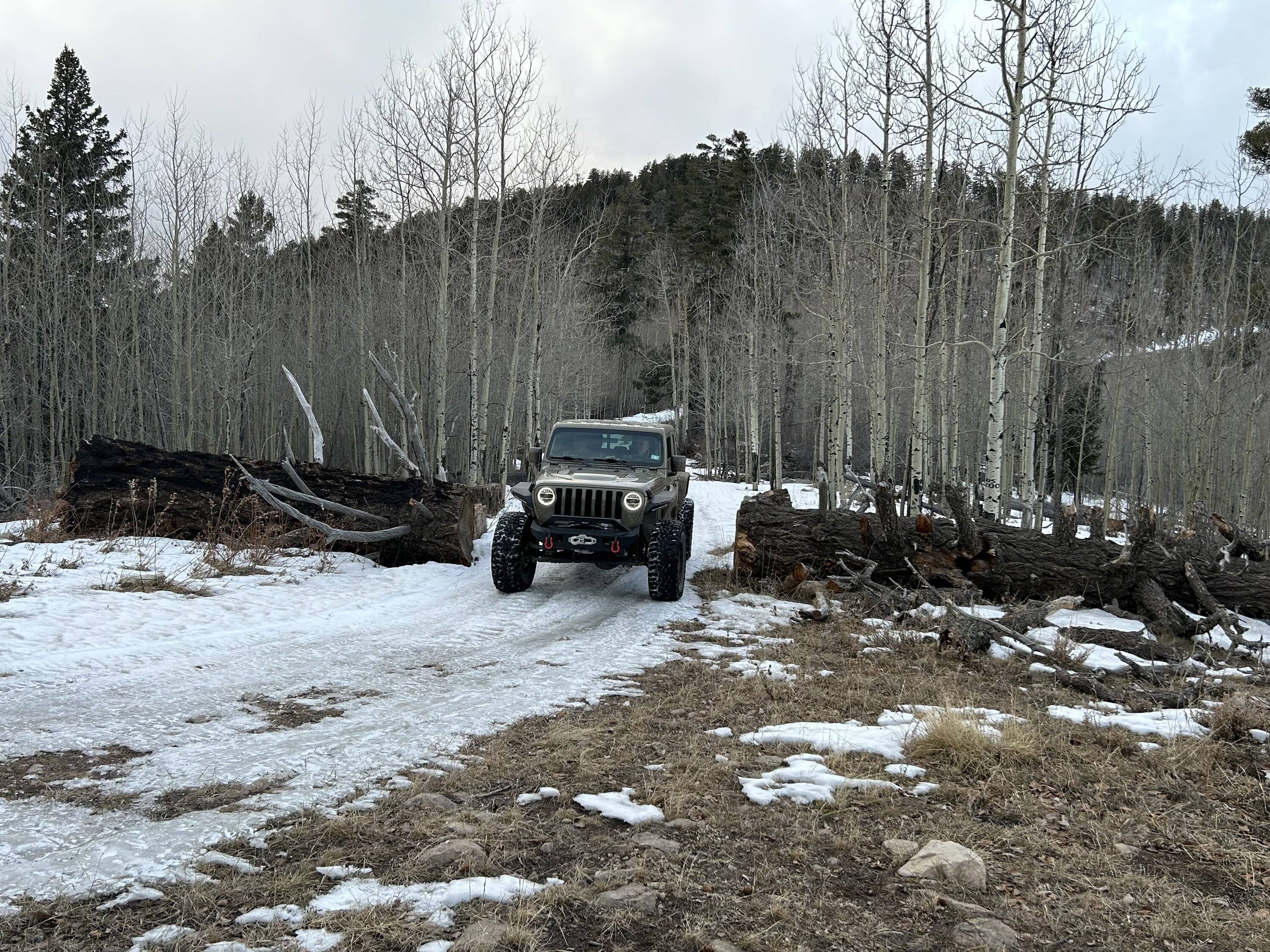Jeep Gladiator I Love Winter... Post Your Snow Pics ❄️ ? 0542CB11-0EA7-4BAA-BAA2-1E49A13D283C