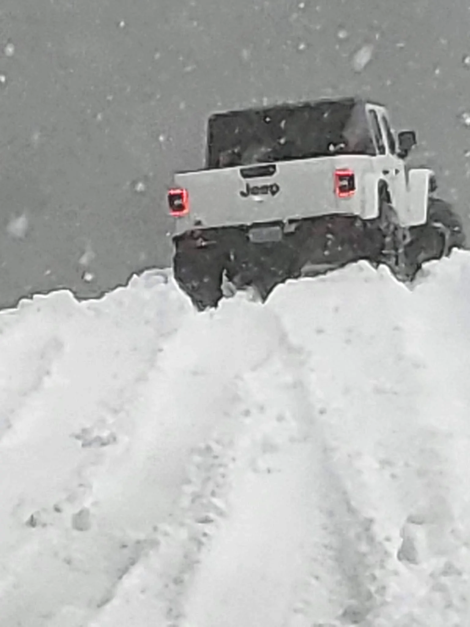Jeep Gladiator I Love Winter... Post Your Snow Pics ❄️ ? 37764AC5-5728-45C9-B9B7-D56AB3D3C2E3
