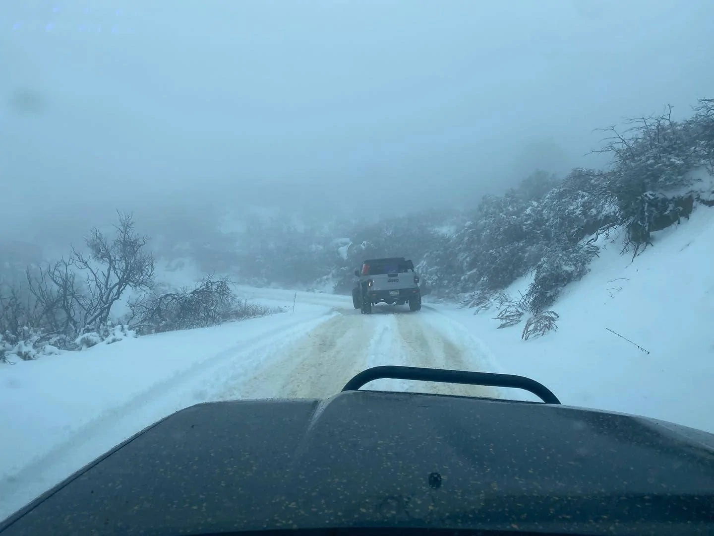 Jeep Gladiator What did you do WITH your Gladiator today? 323885717_1631218817336555_960623682068962128_n