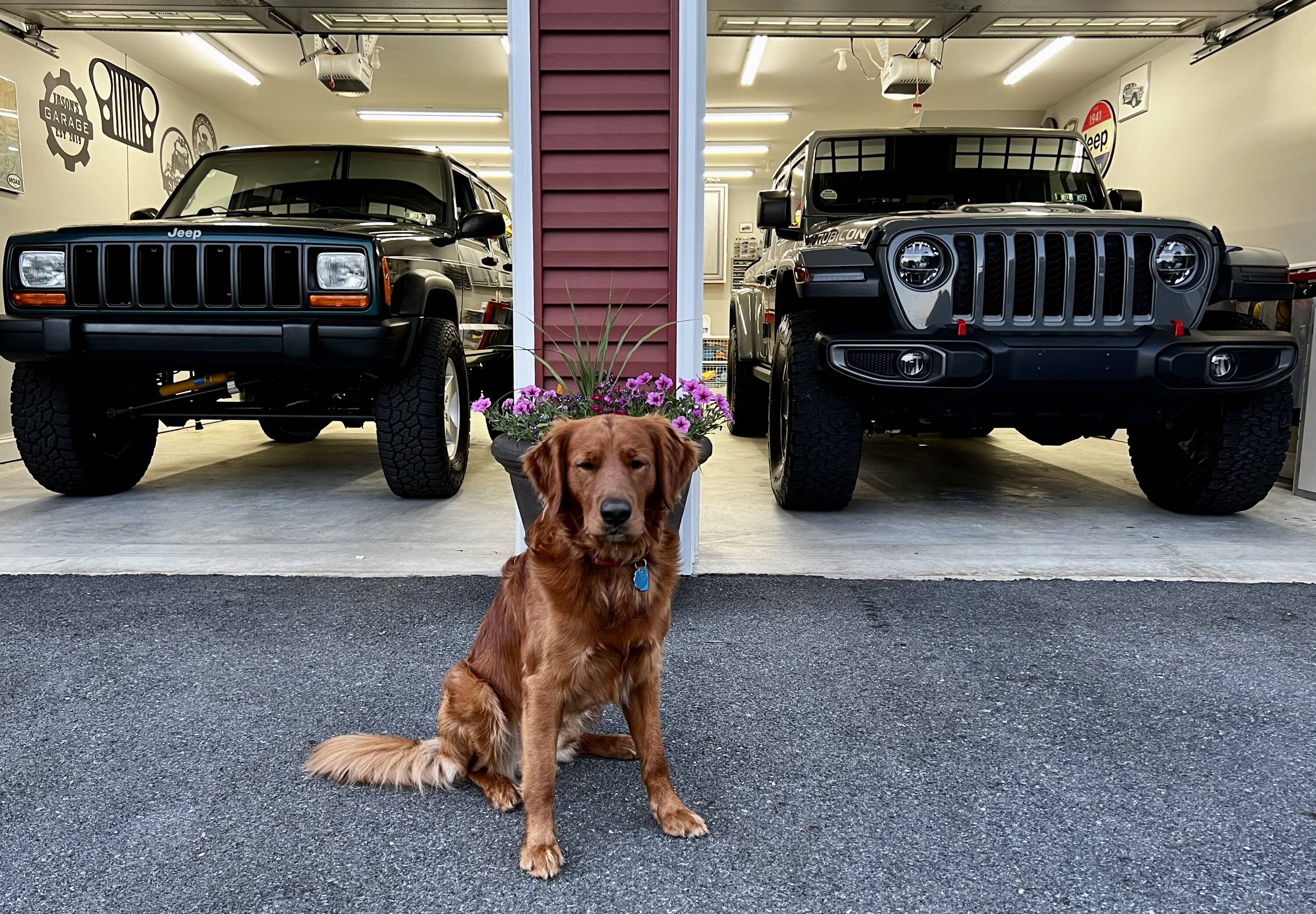 Jeep Gladiator Jeeps Parking Next To Jeeps 4F5F3BF1-188F-4554-8533-DBC63C328D33