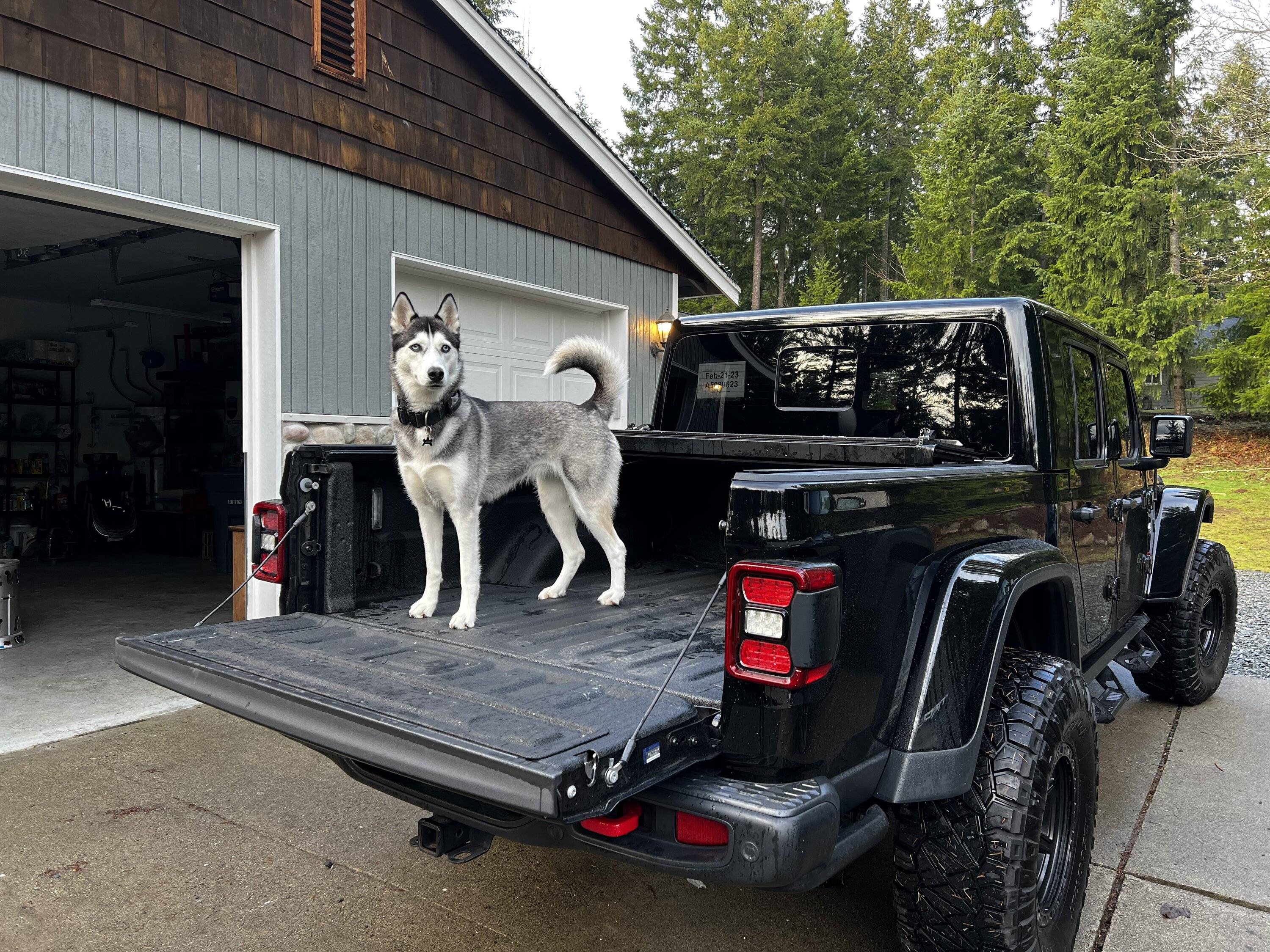 Jeep Gladiator New members new jeep gladiator 22B95DA9-8C47-4295-94E8-D253CC73FD6D