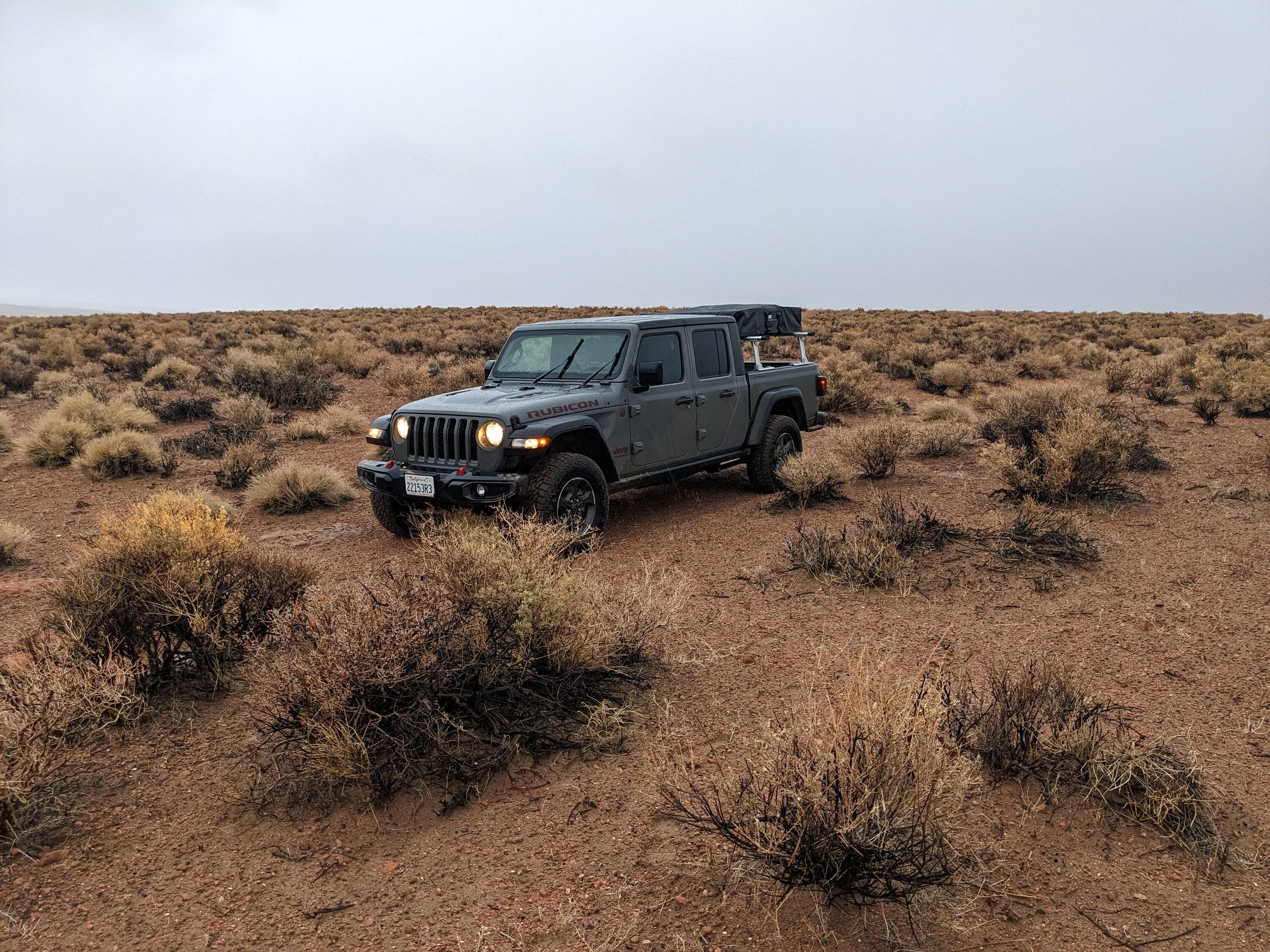 Jeep Gladiator What did you do TO your Gladiator today? [ADMIN WARNING: NO POLITICS, NO GUN TALK] PXL_20230115_002945390