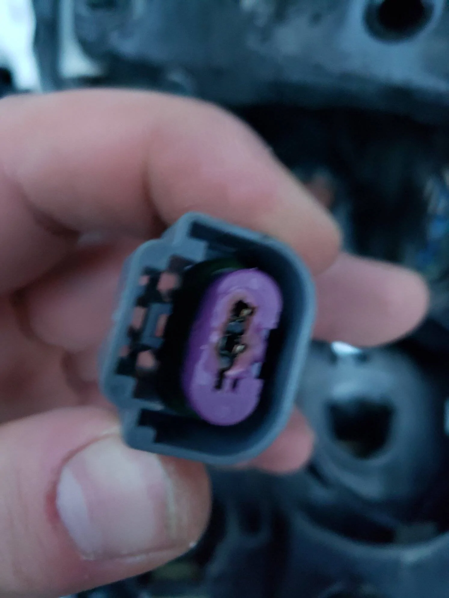 Jeep Gladiator Halogen Headlight Problems 20230116_162832