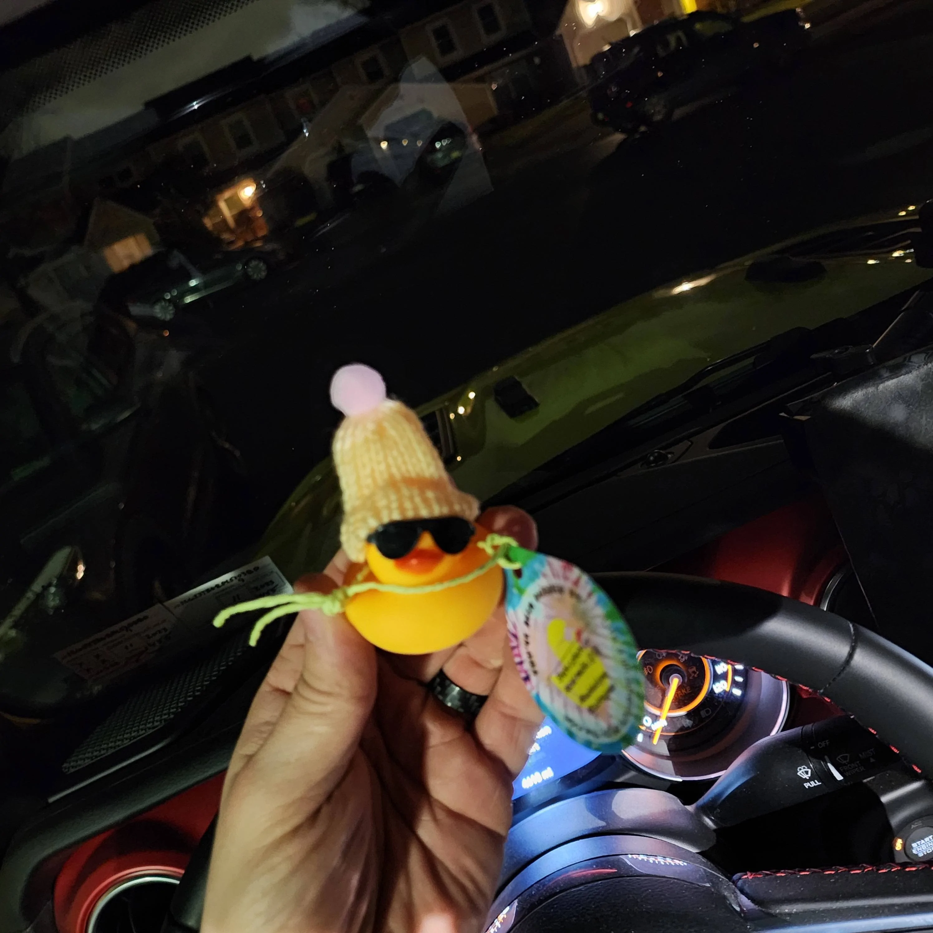 Jeep Gladiator Show me your DUCKS ! 20230123_185004