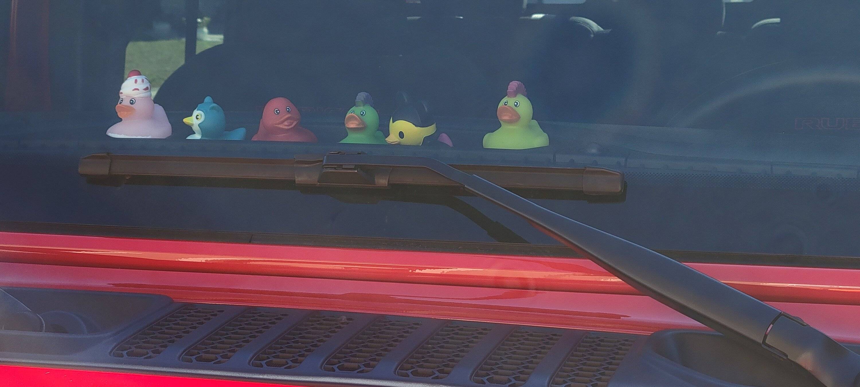 Jeep Gladiator Show me your DUCKS ! 20230126_133133