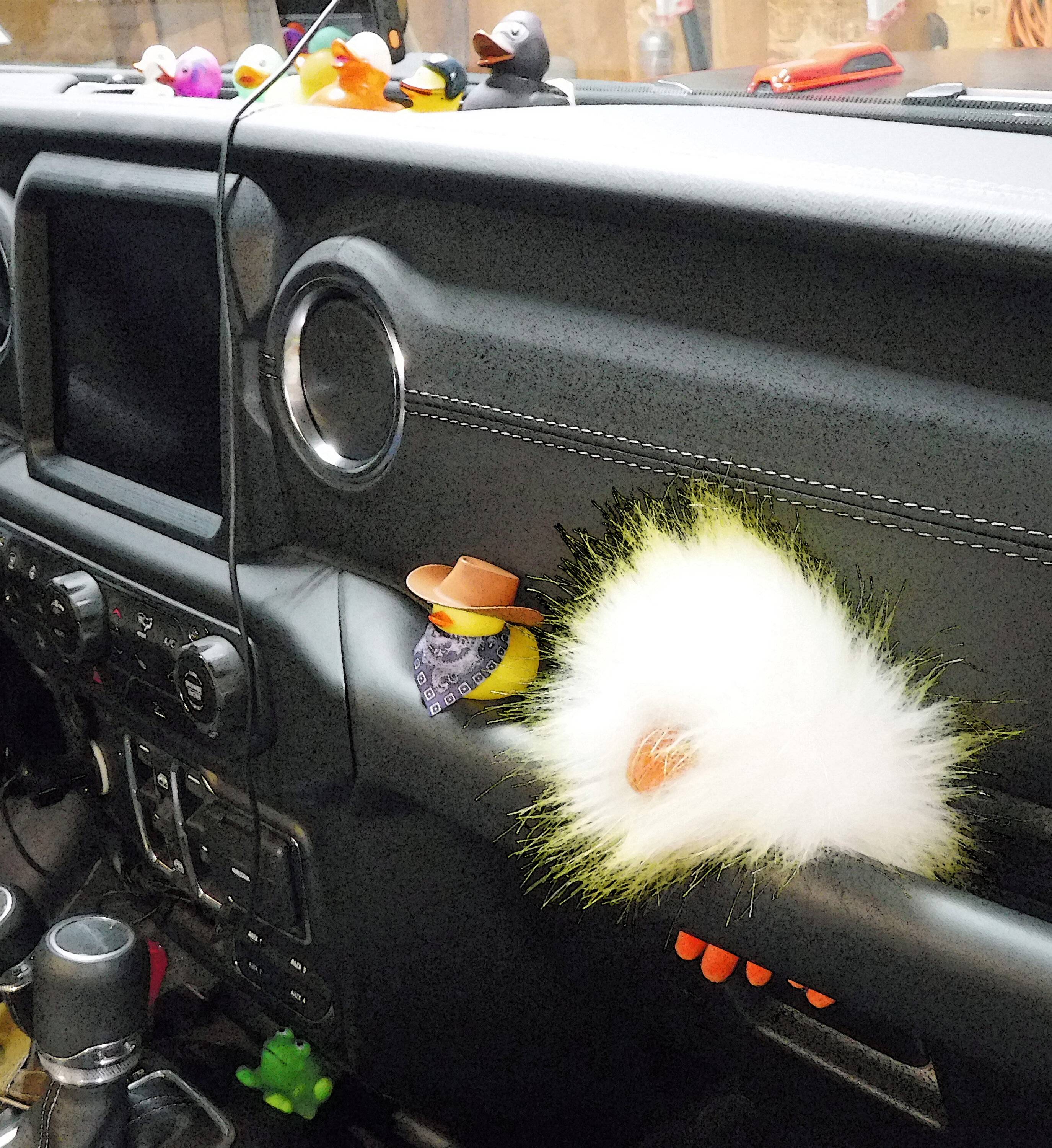 Jeep Gladiator Show me your DUCKS ! DSCF4620.JPG