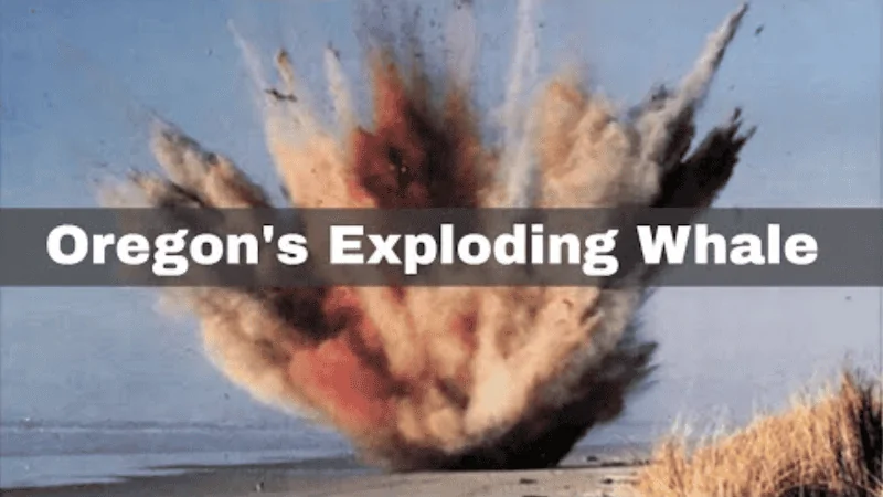 Jeep Gladiator O Oregon Exploding Whal