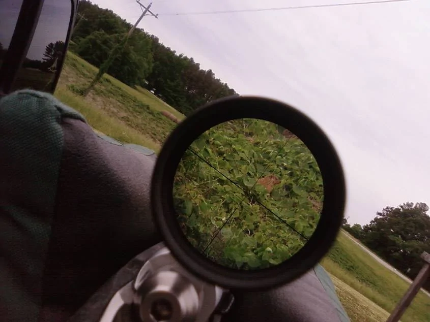 Jeep Gladiator O scope-view5-11-2010