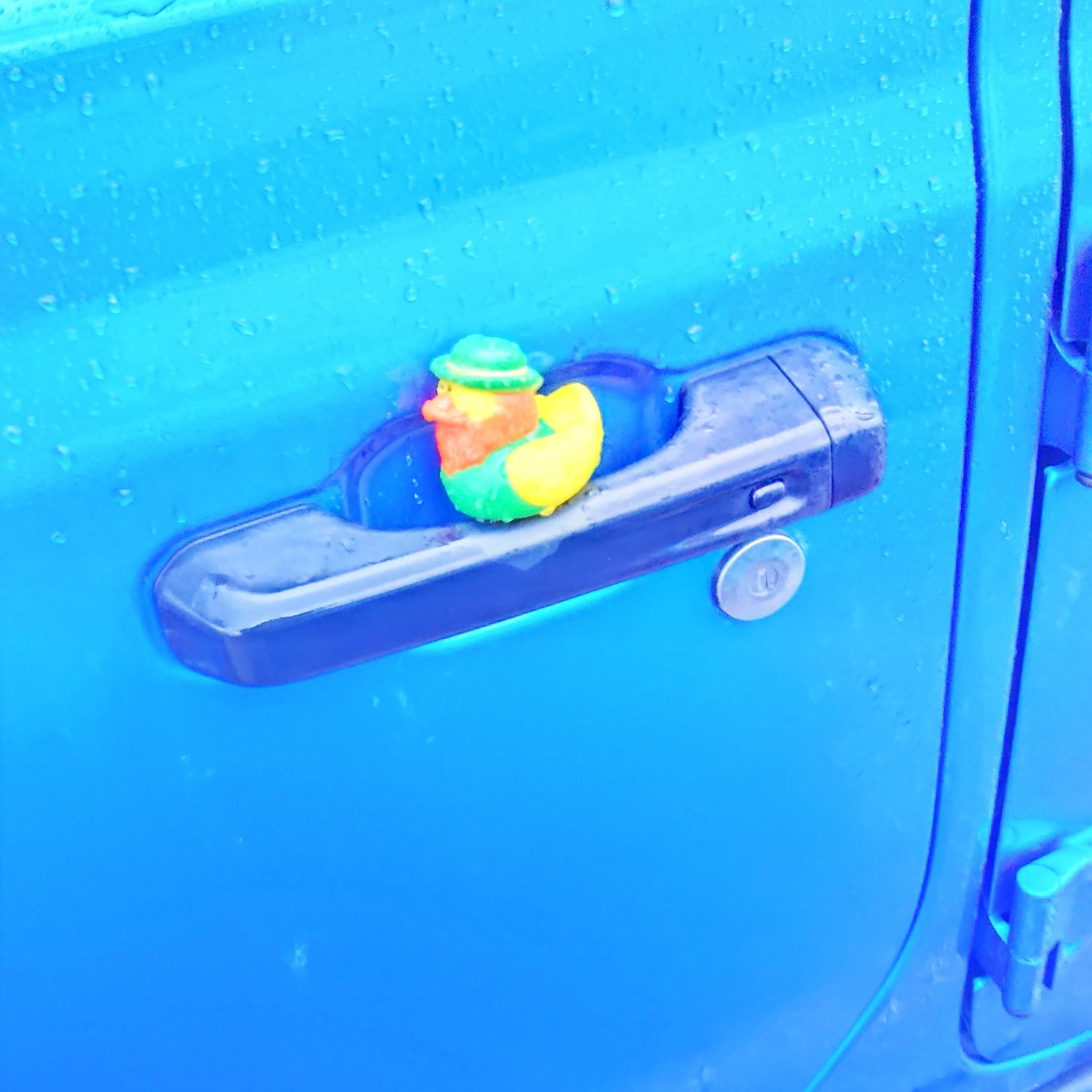 Jeep Gladiator Show me your DUCKS ! KIMG0211