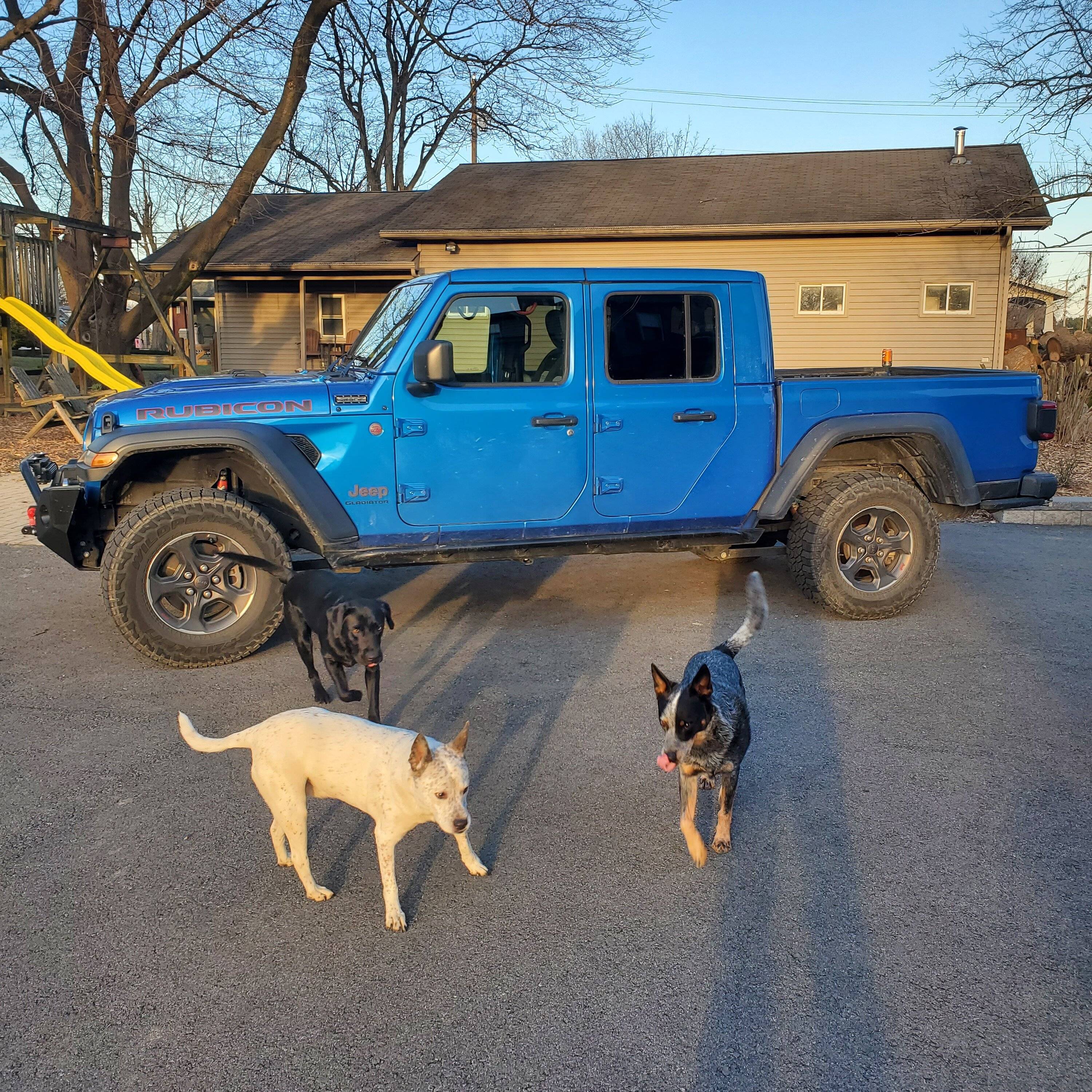 Jeep Gladiator What did you do TO your Gladiator today? [ADMIN WARNING: NO POLITICS, NO GUN TALK] 20230214_165703