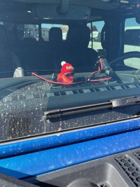 Jeep Gladiator Show me your DUCKS ! Jeep Duck