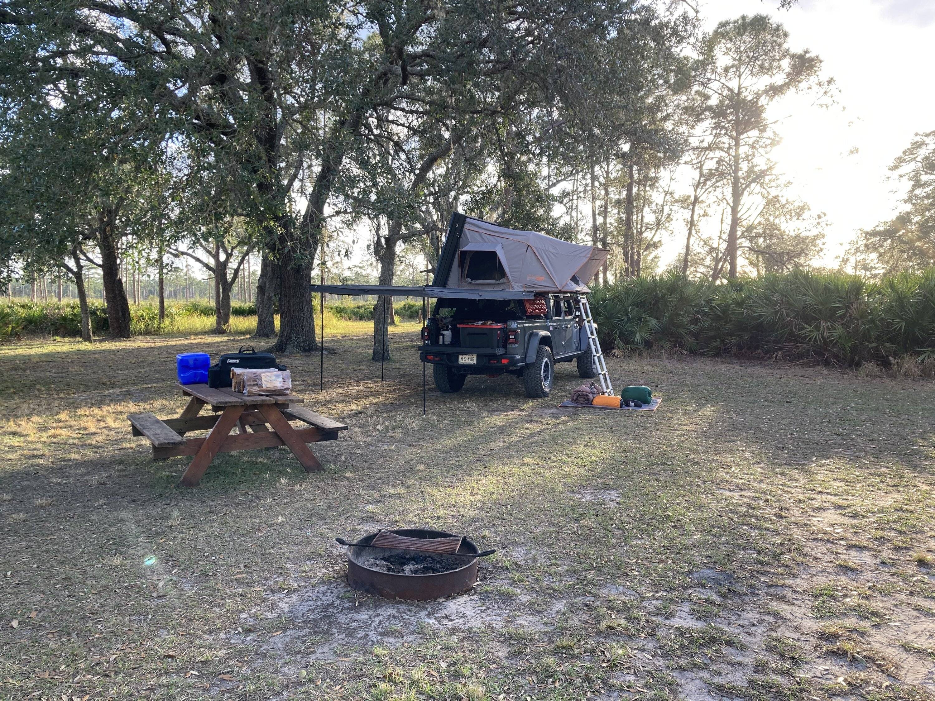 Jeep Gladiator Florida Roll Call! 644BEDB1-8963-475E-A701-91EAED07E7E3
