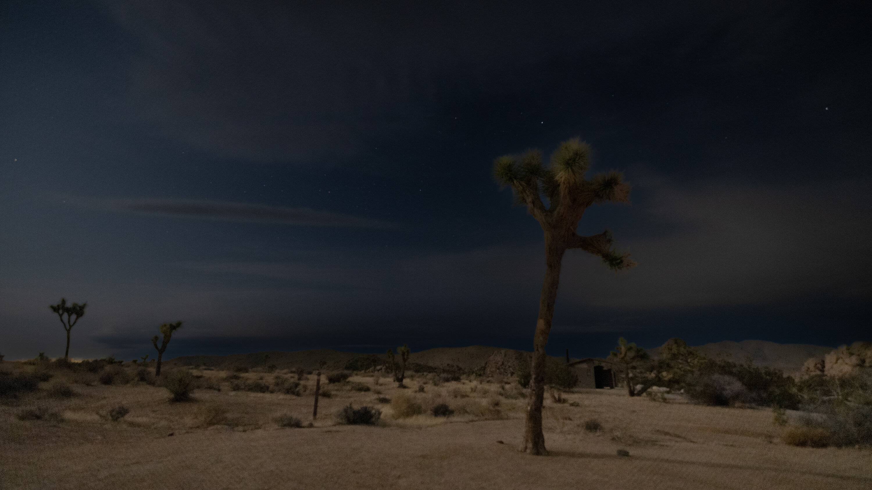 Jeep Gladiator Return to Joshua Tree w/ epic drone footage 2I0A7139.00_01_02_06.Still001