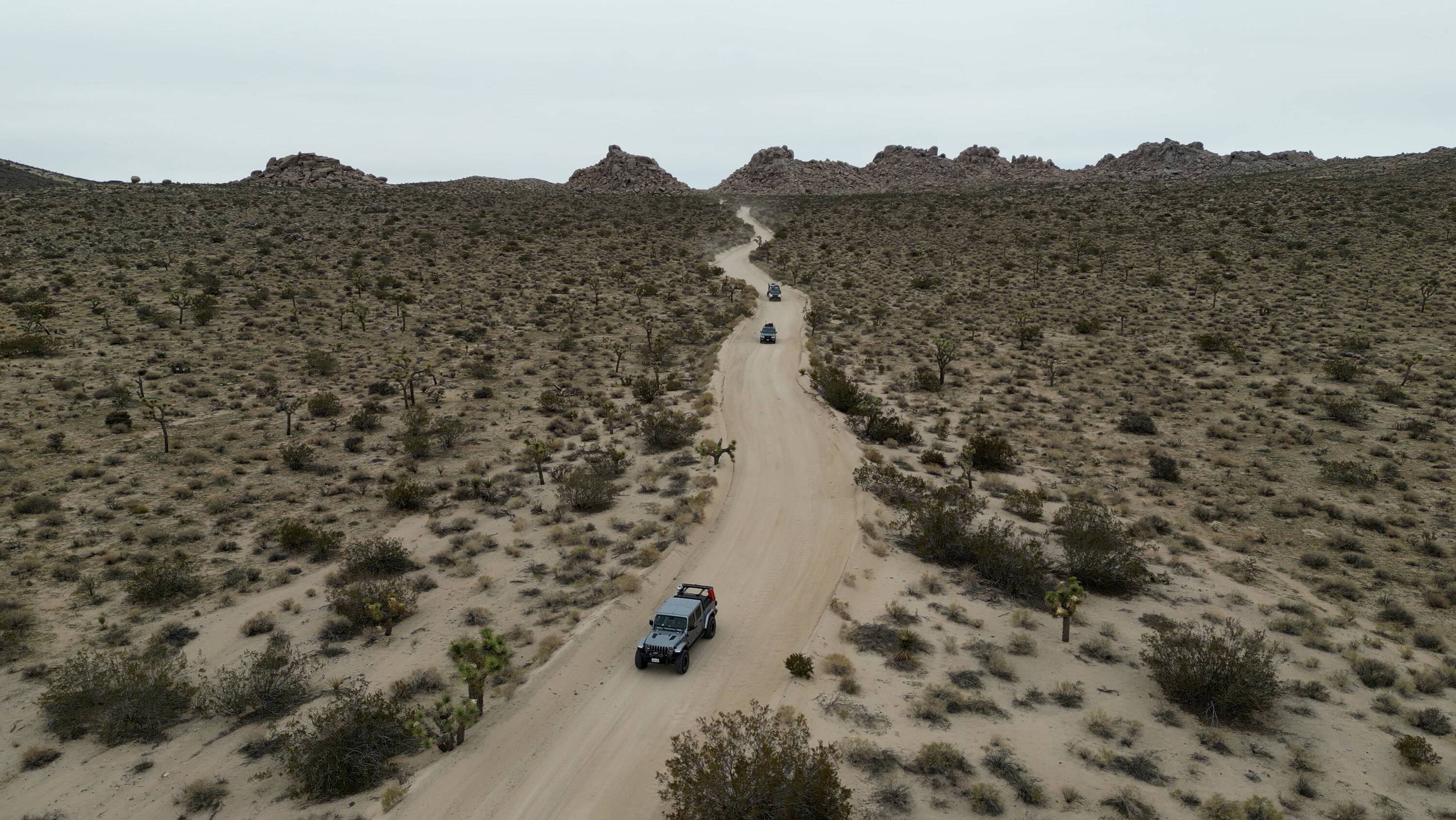 Jeep Gladiator Return to Joshua Tree w/ epic drone footage 2I0A7139.00_05_49_29.Still002