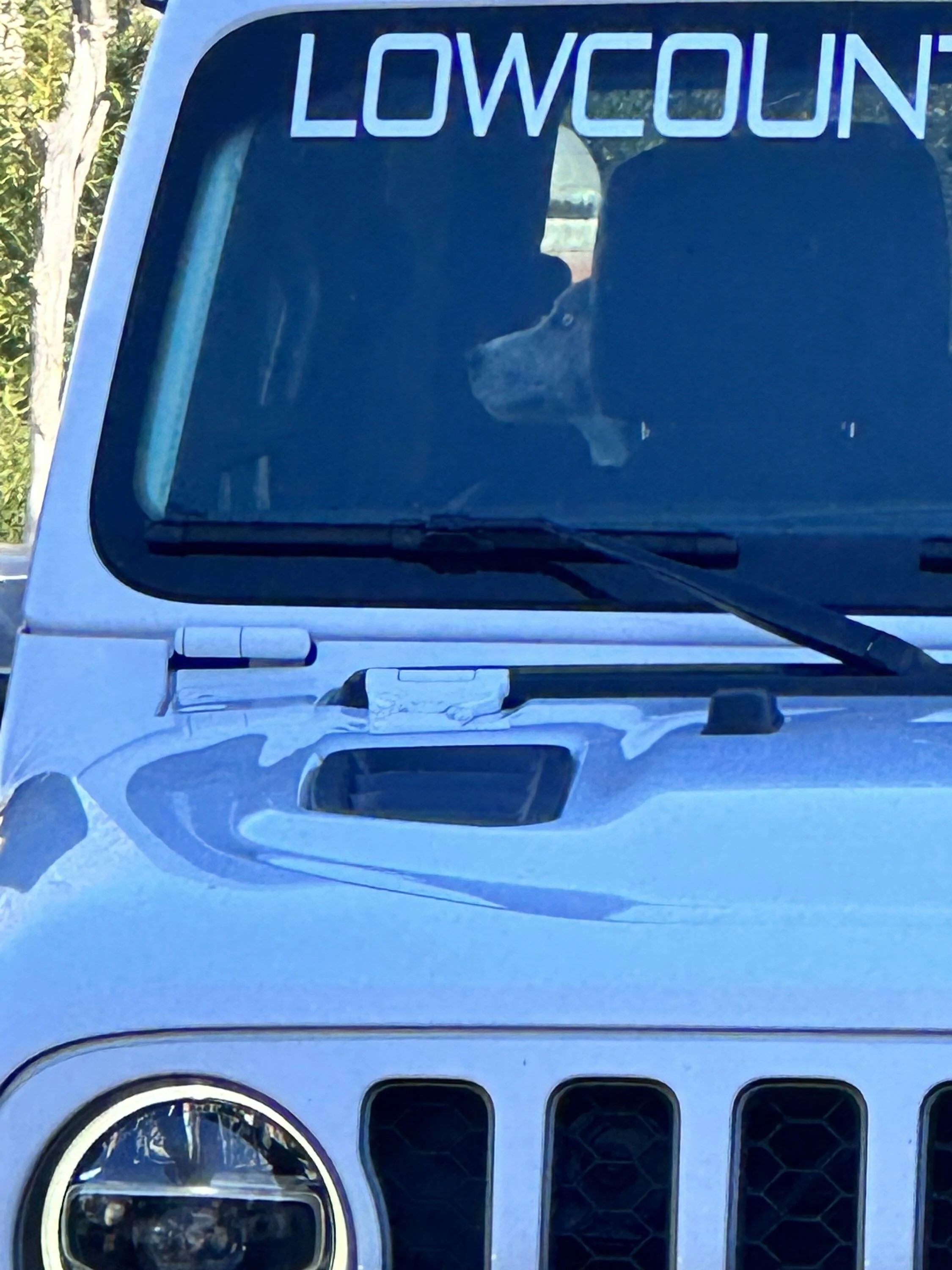 Jeep Gladiator Glad(iator) Dogs! Let's see 'em! tempImageK7QbUo