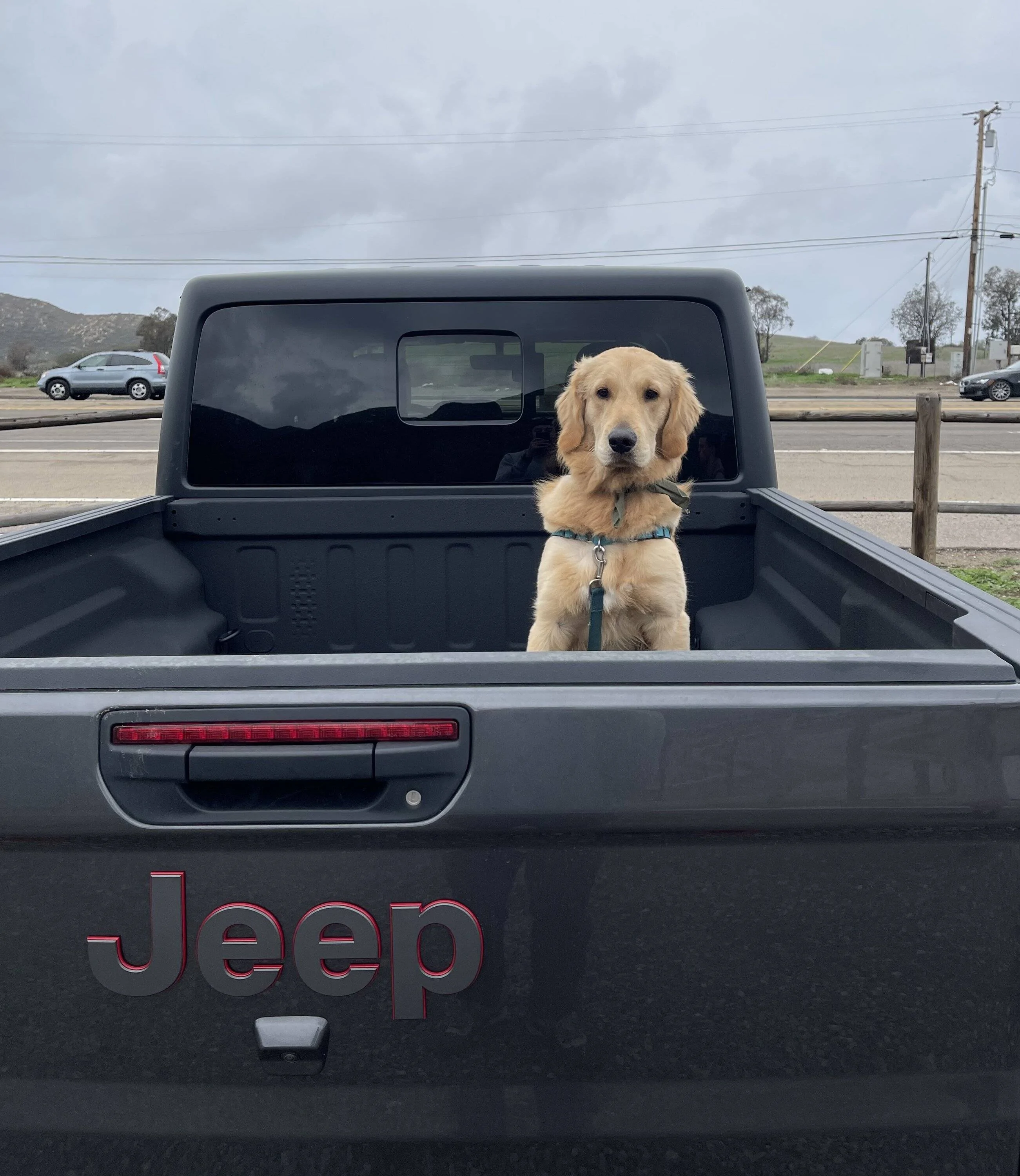 Jeep Gladiator Glad(iator) Dogs! Let's see 'em! 5F06CFEC-DCAC-404A-8747-1B1C58ECBD0F