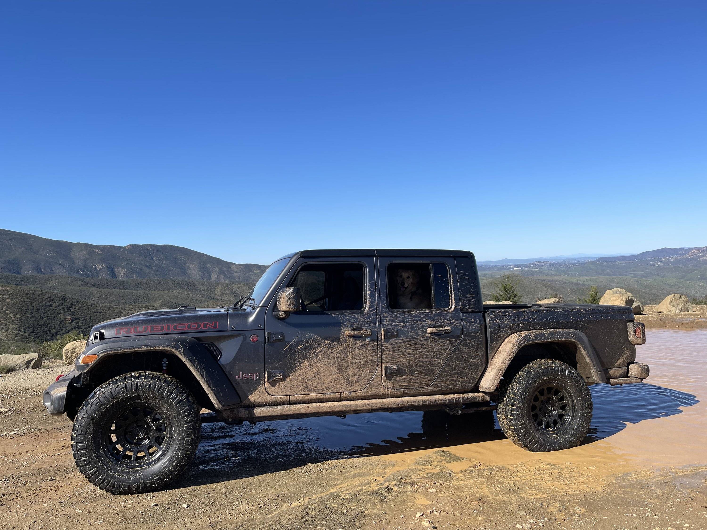 Jeep Gladiator Glad(iator) Dogs! Let's see 'em! ADE22A4D-4598-4373-8F5F-AE43553A8B55